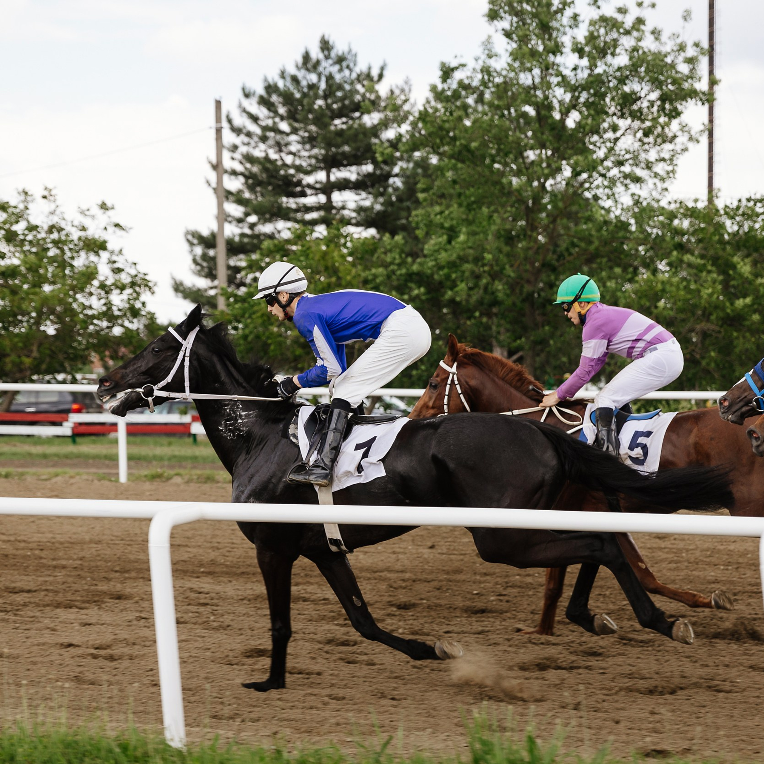 Скачки 17.06.23. Photographer | Anna Christia