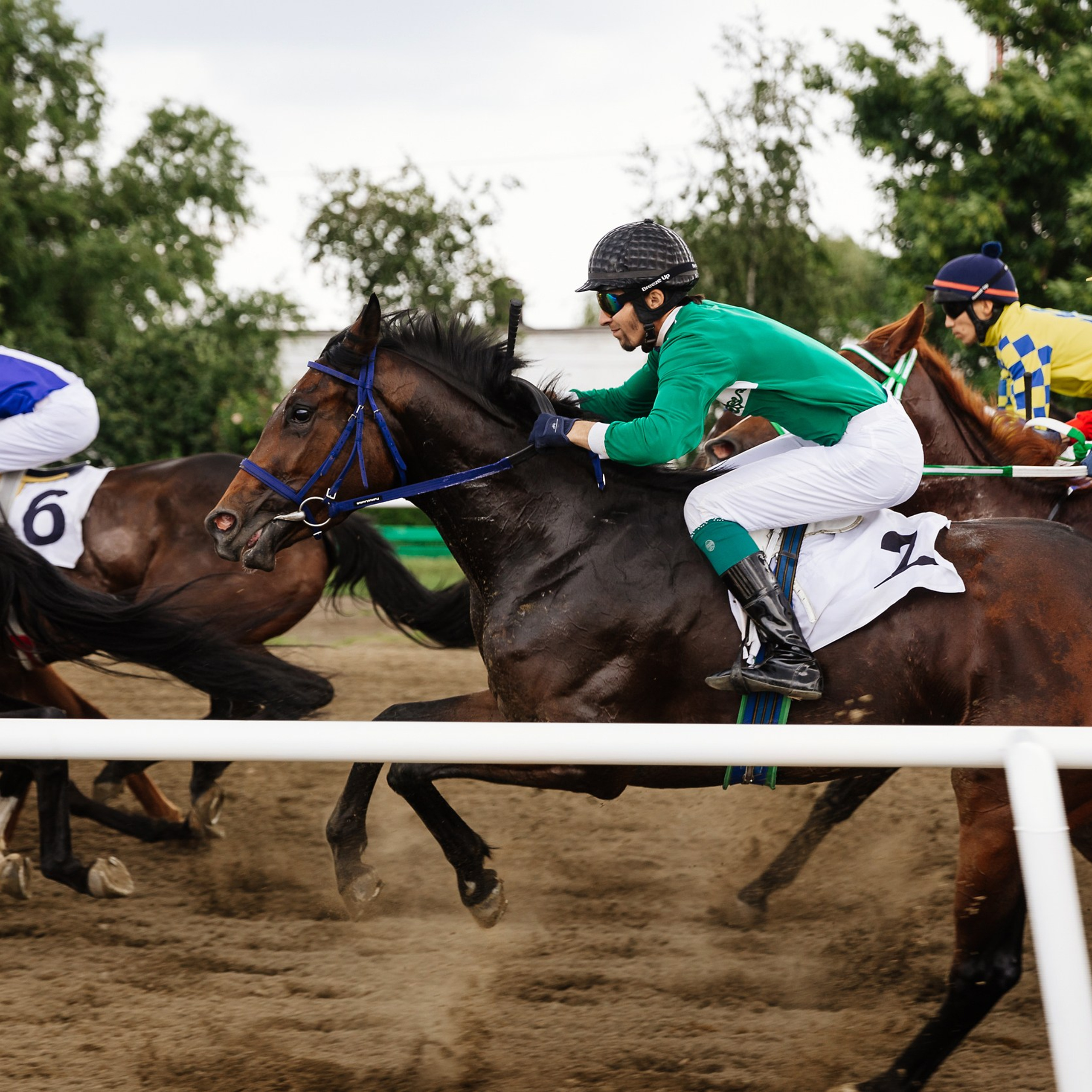Скачки 17.06.23. Photographer | Anna Christia