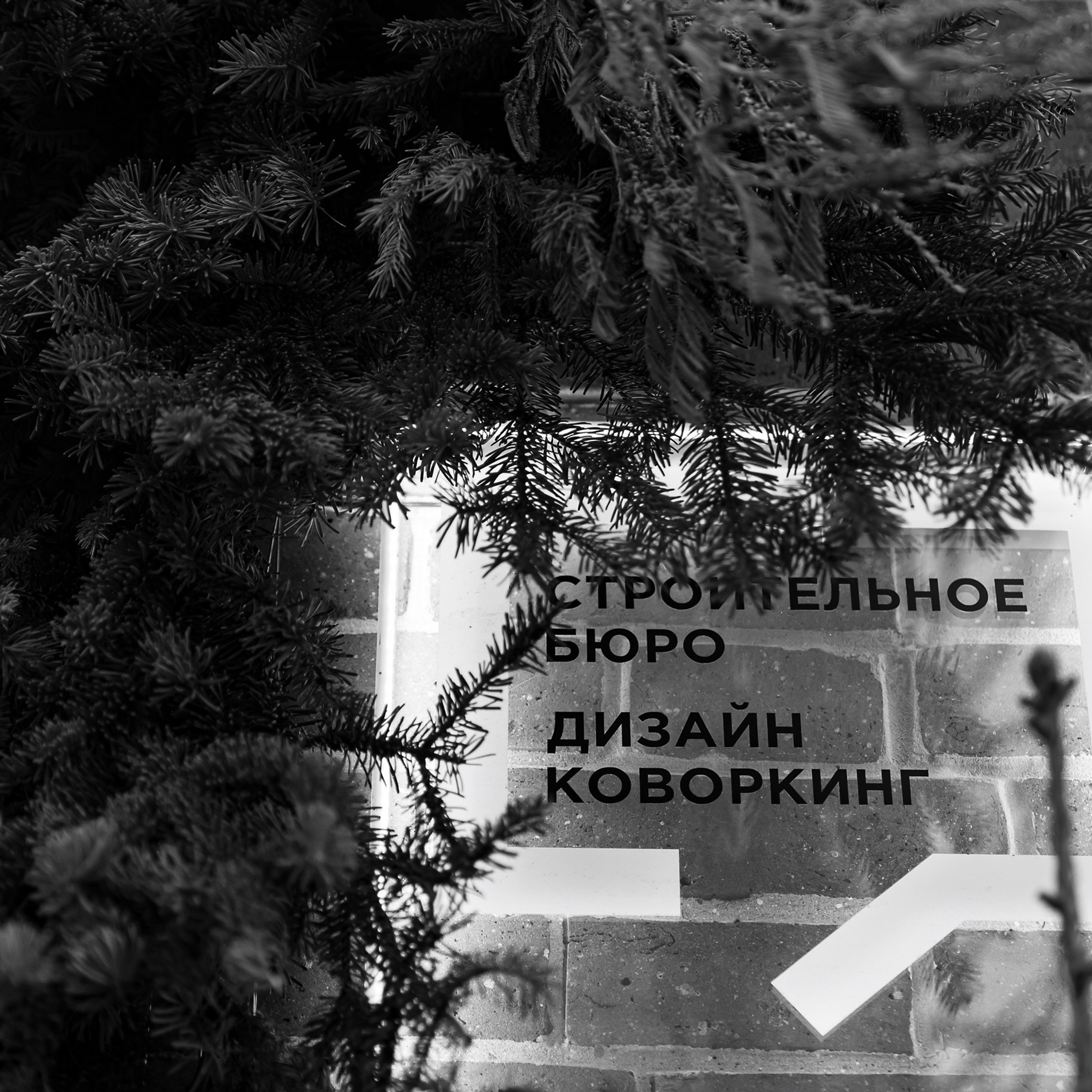 Команда Р 19.12.23. Photographer | Anna Christia