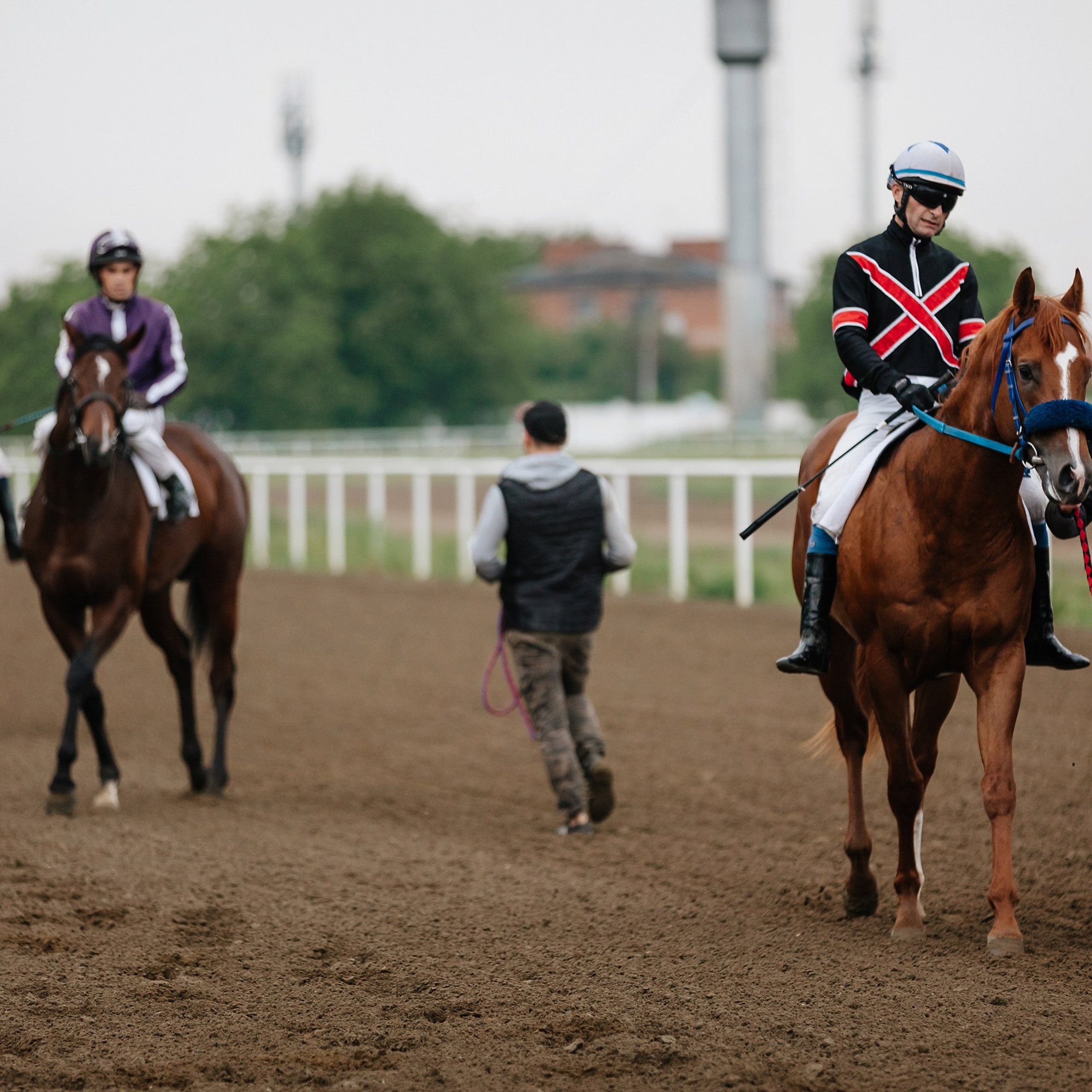 Скачки 11.05.24. Photographer | Anna Christia