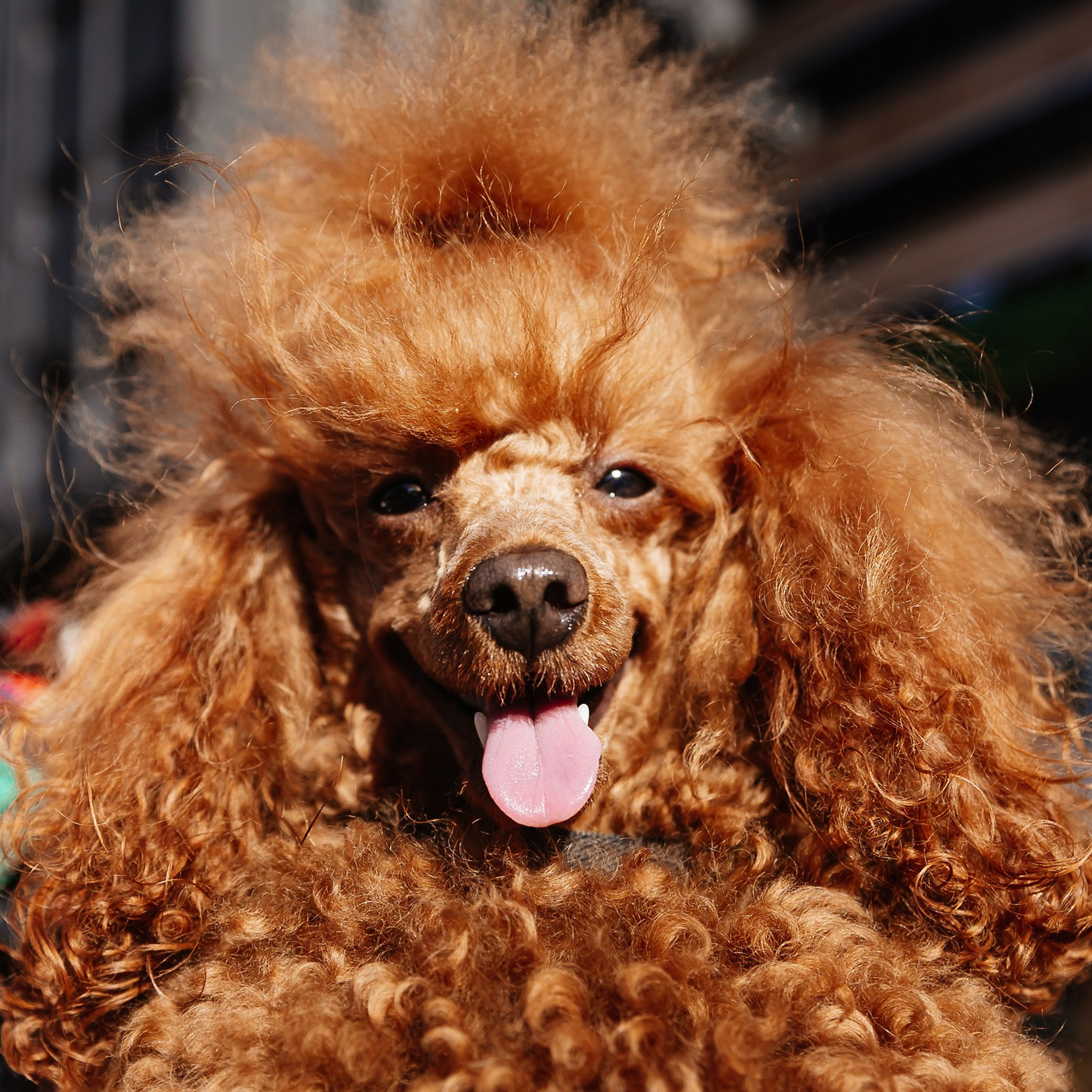 Boxpark 4.11.23. Photographer | Anna Christia