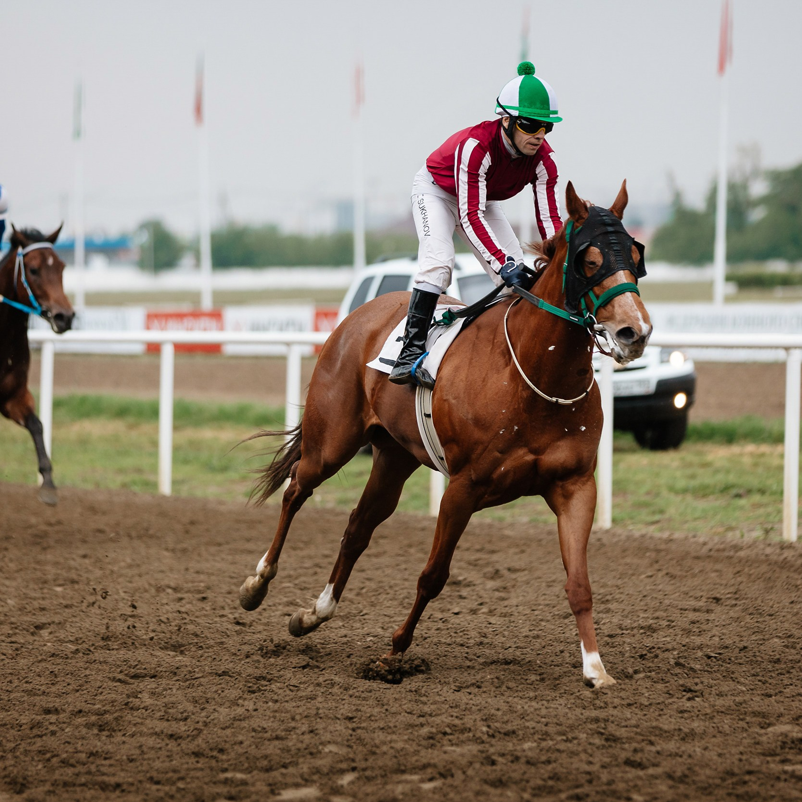 Скачки 11.05.24. Photographer | Anna Christia