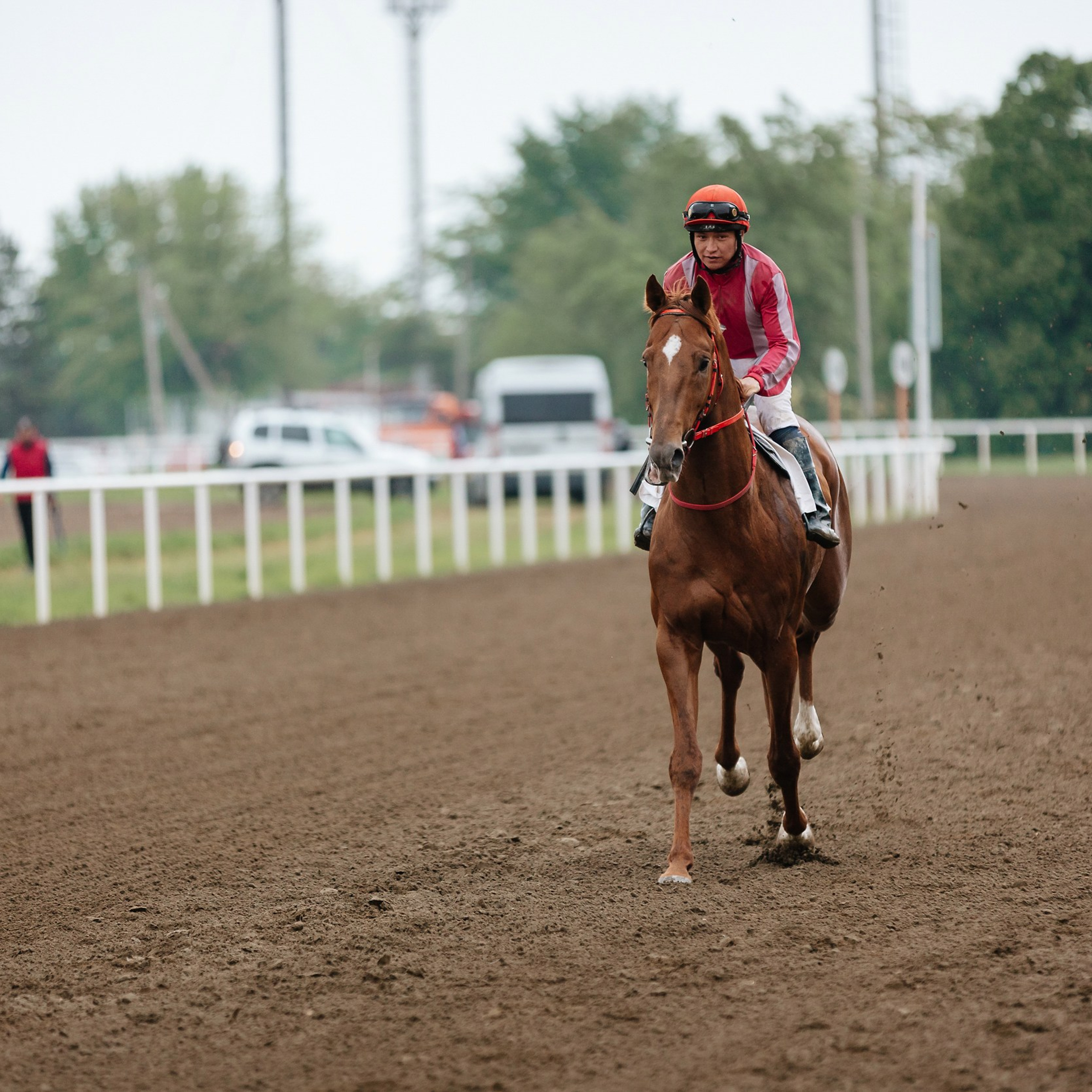 Скачки 11.05.24. Photographer | Anna Christia