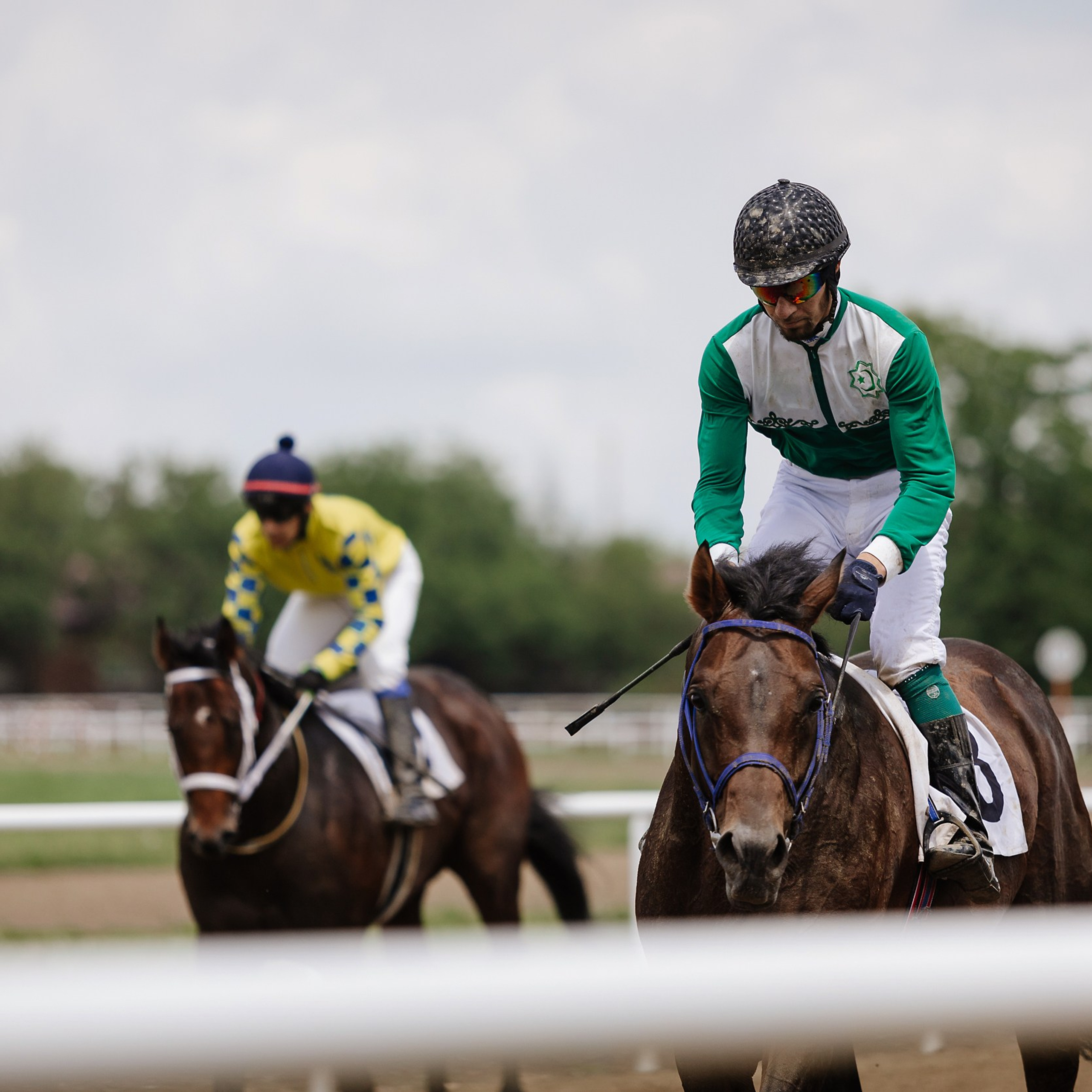 Скачки 17.06.23. Photographer | Anna Christia