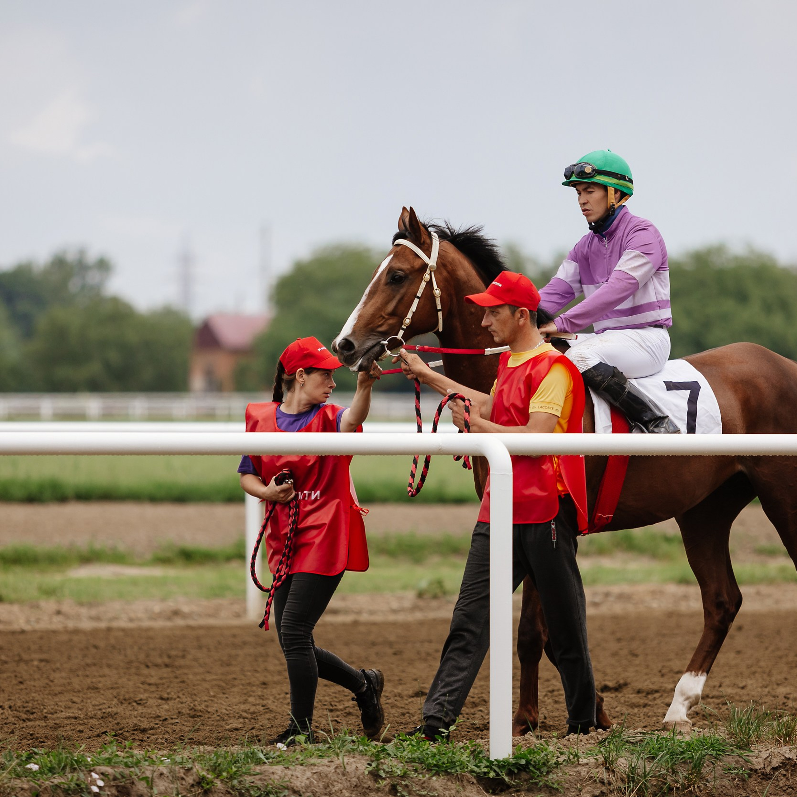 Скачки 17.06.23. Photographer | Anna Christia