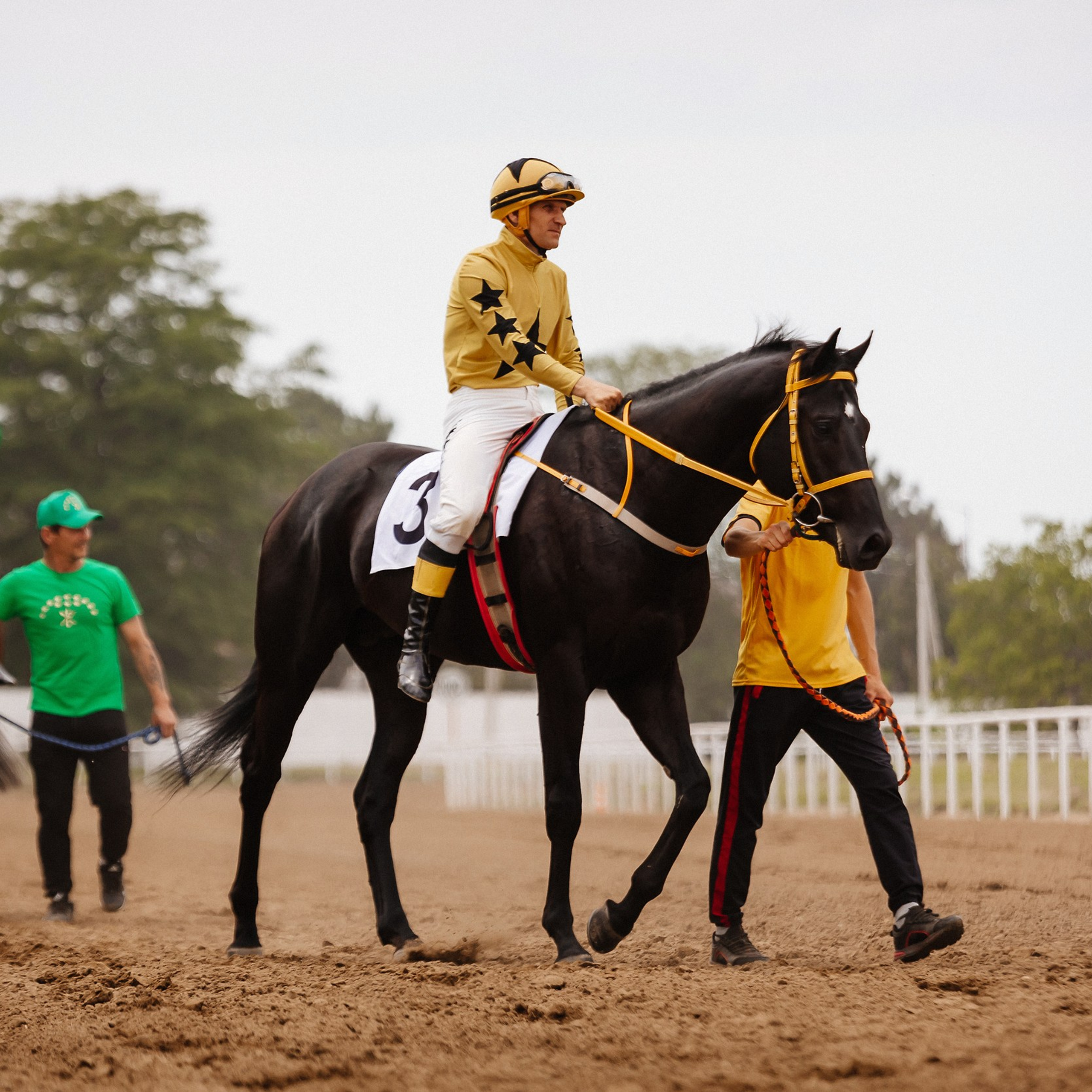 Скачки 10.06.23. Photographer | Anna Christia