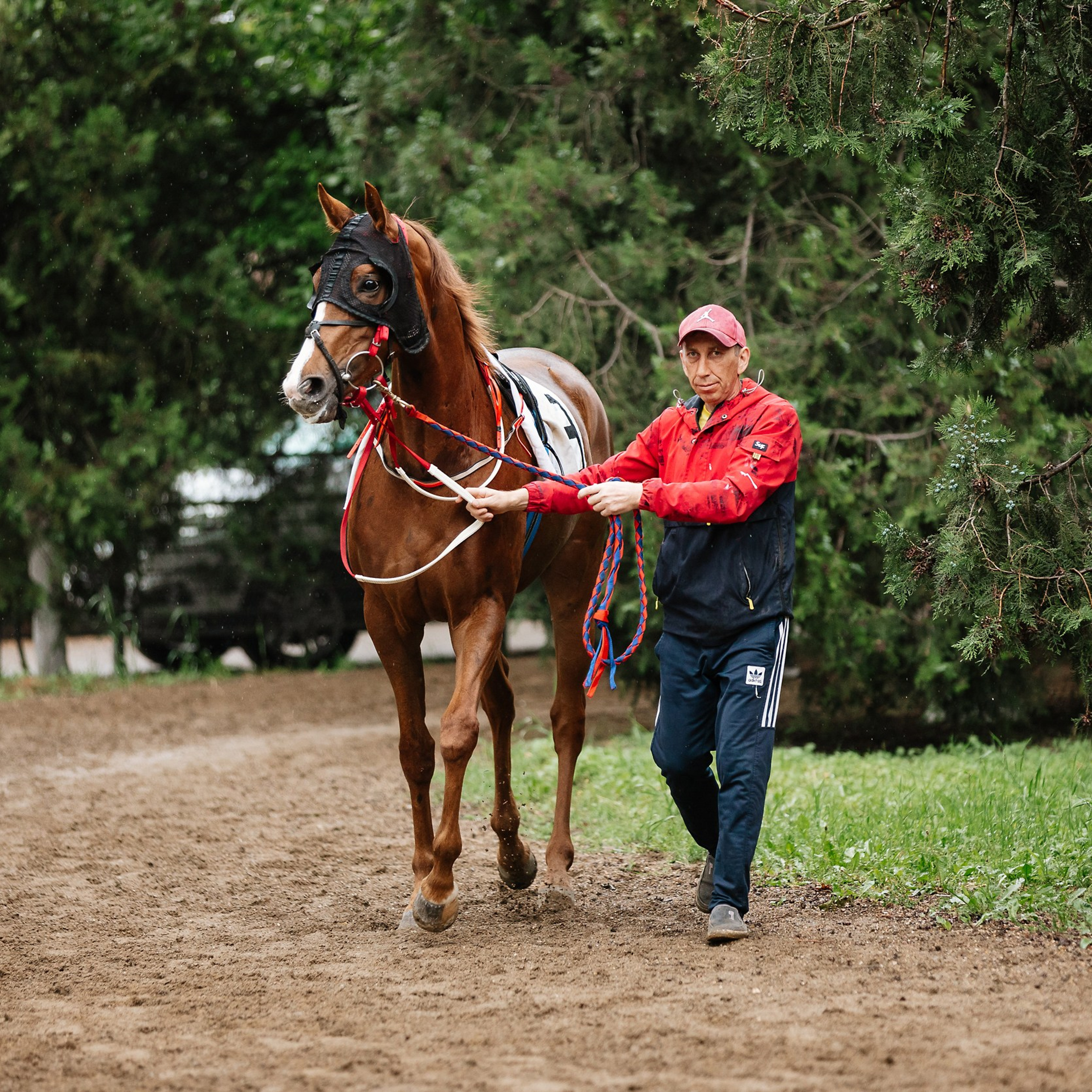 Скачки 11.05.24. Photographer | Anna Christia