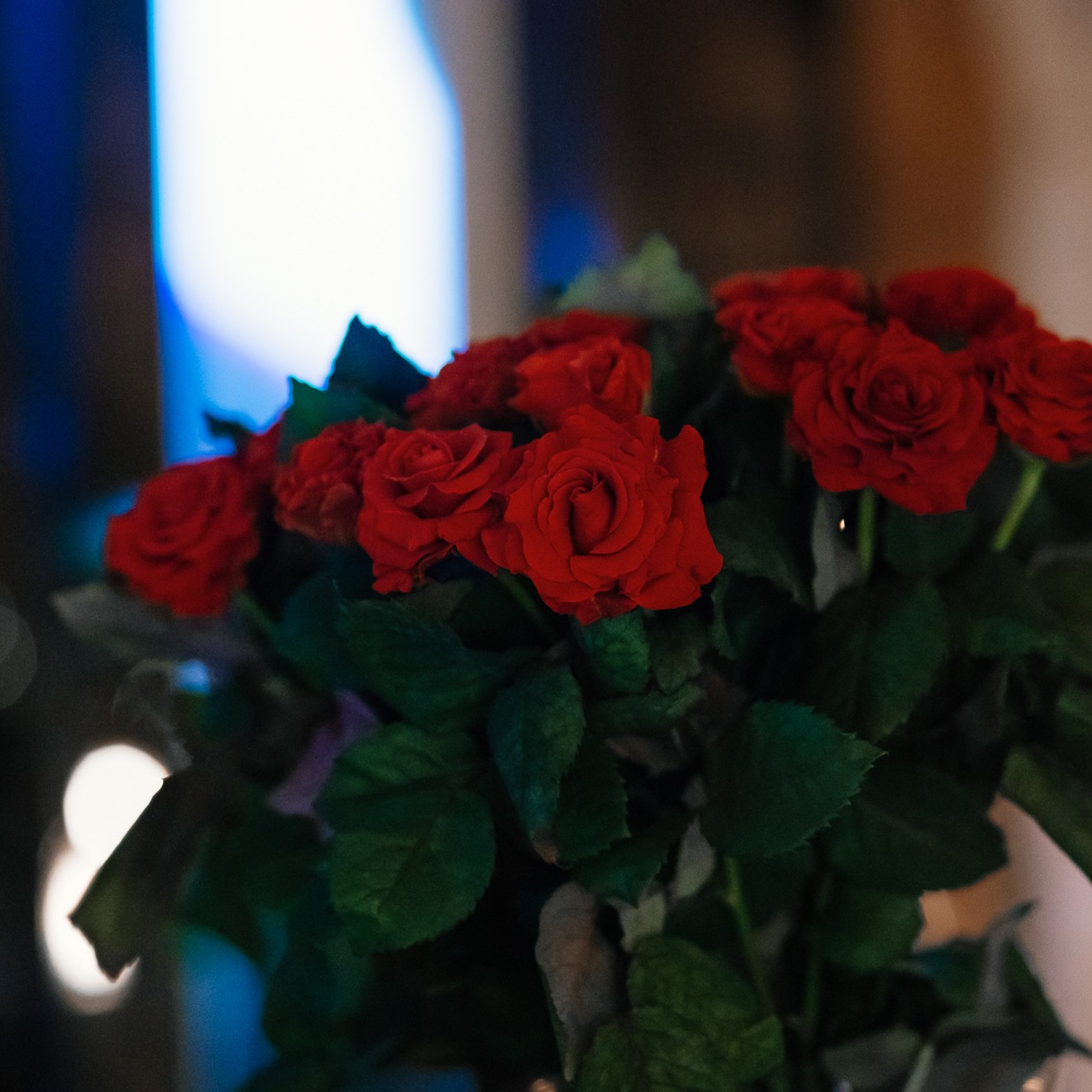 Barbie Cho 8.03.23. Photographer | Anna Christia