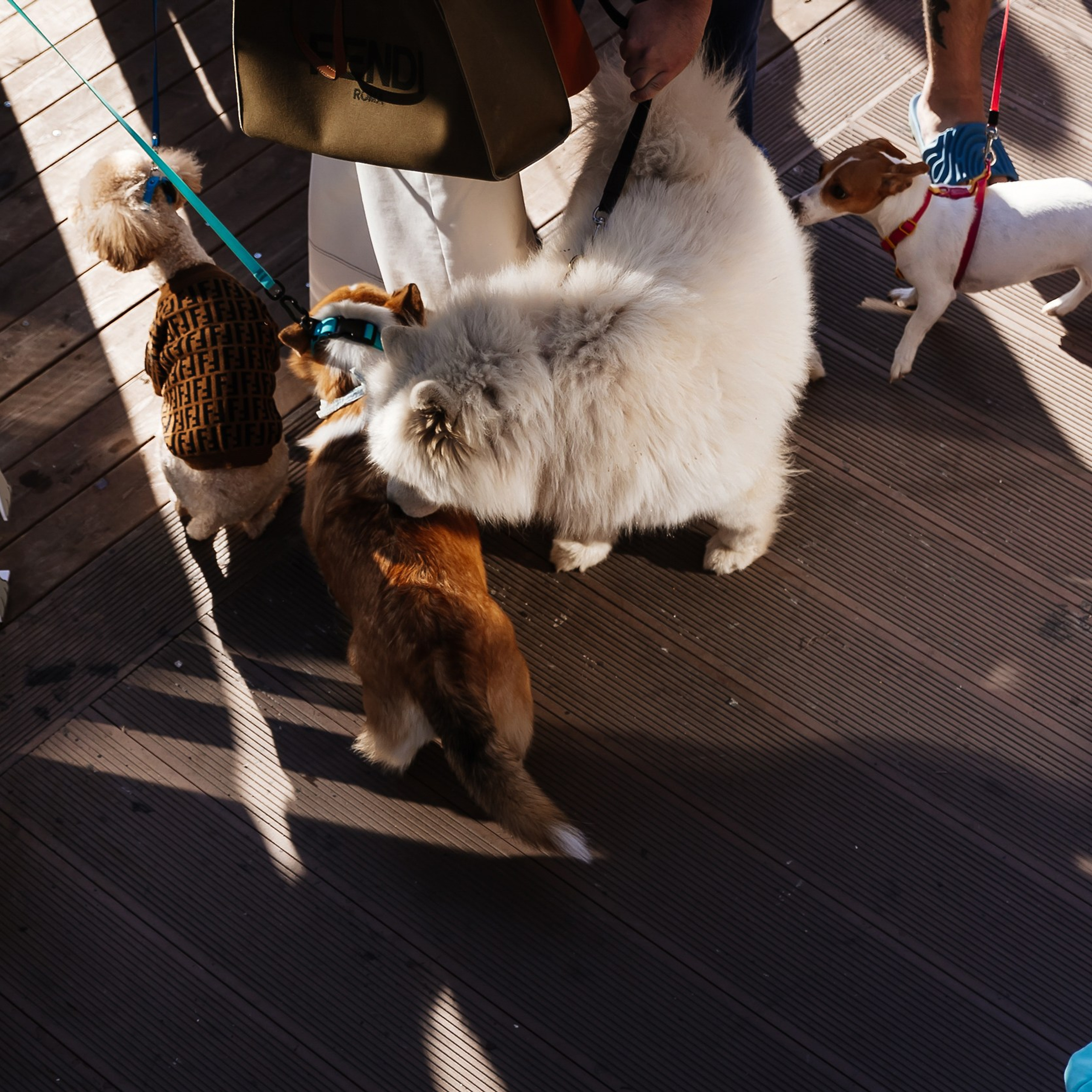 Boxpark 4.11.23. Photographer | Anna Christia