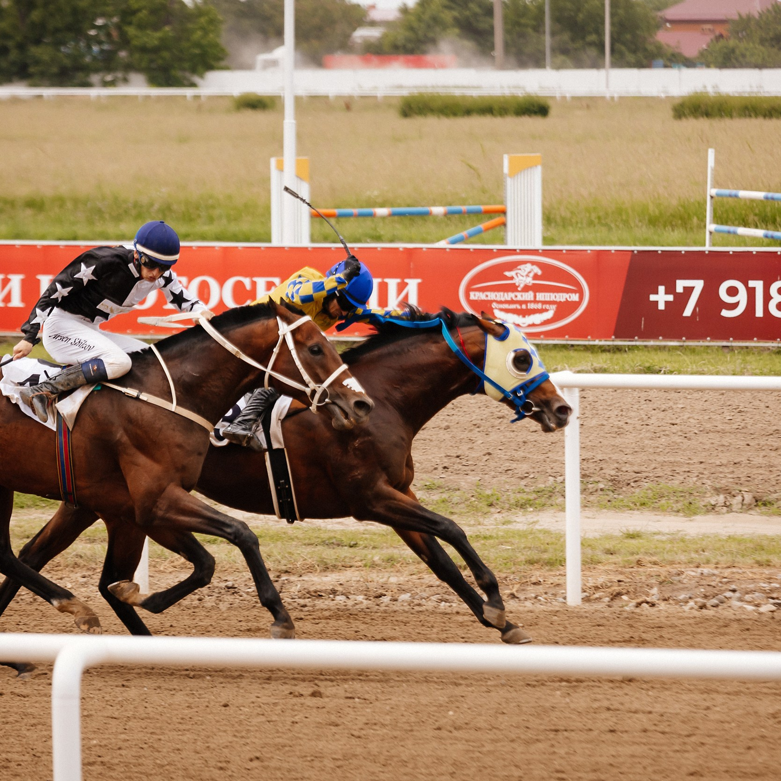 Скачки 10.06.23. Photographer | Anna Christia
