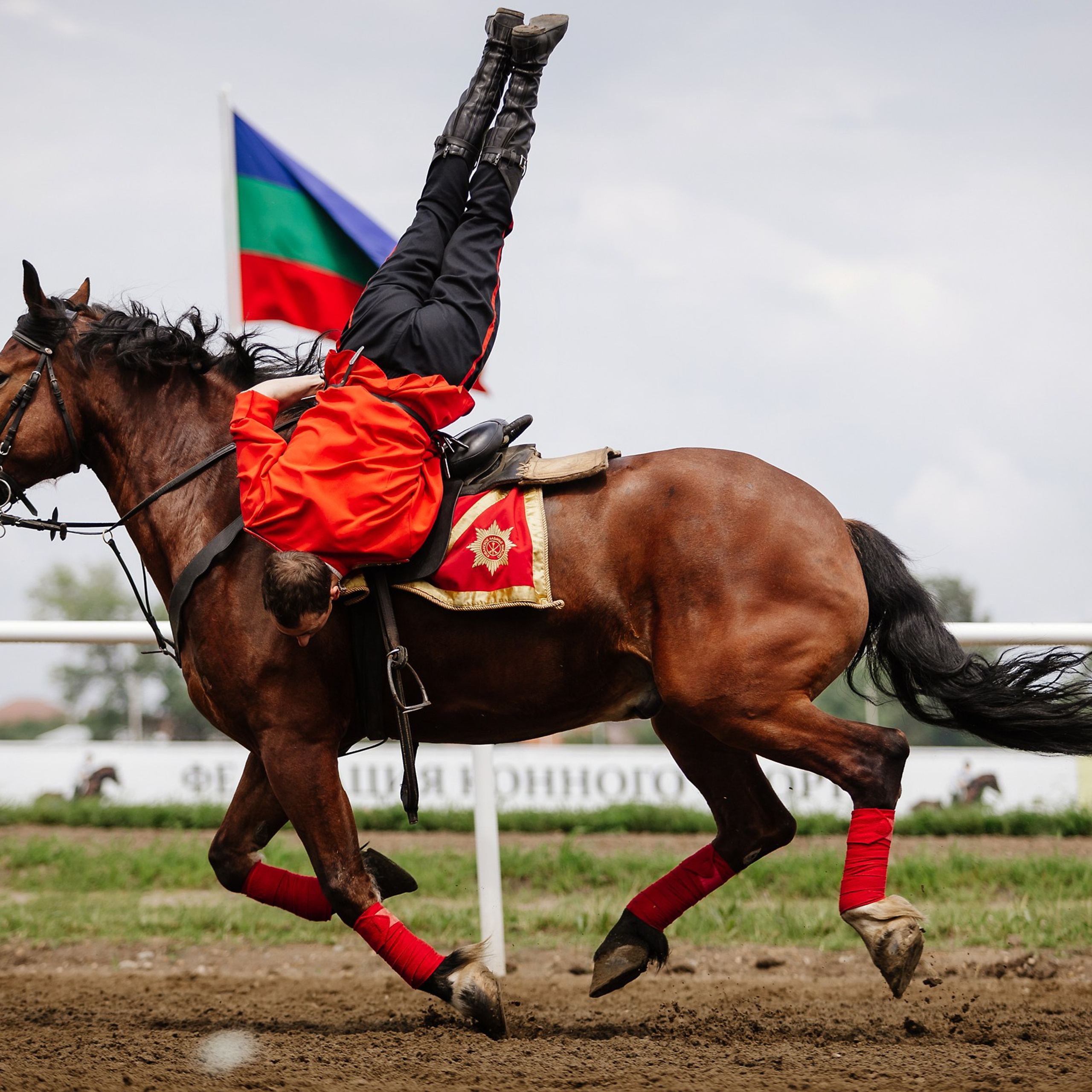 Скачки 17.06.23. Photographer | Anna Christia