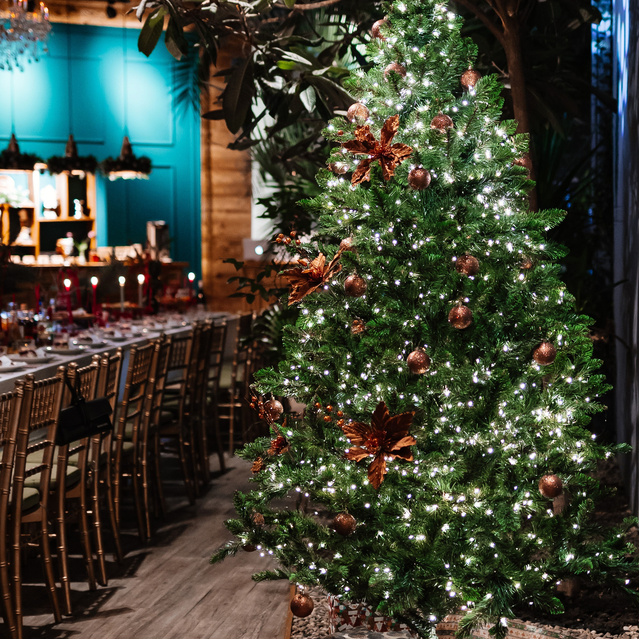 Новогодняя 31.12.2023. Photographer | Anna Christia