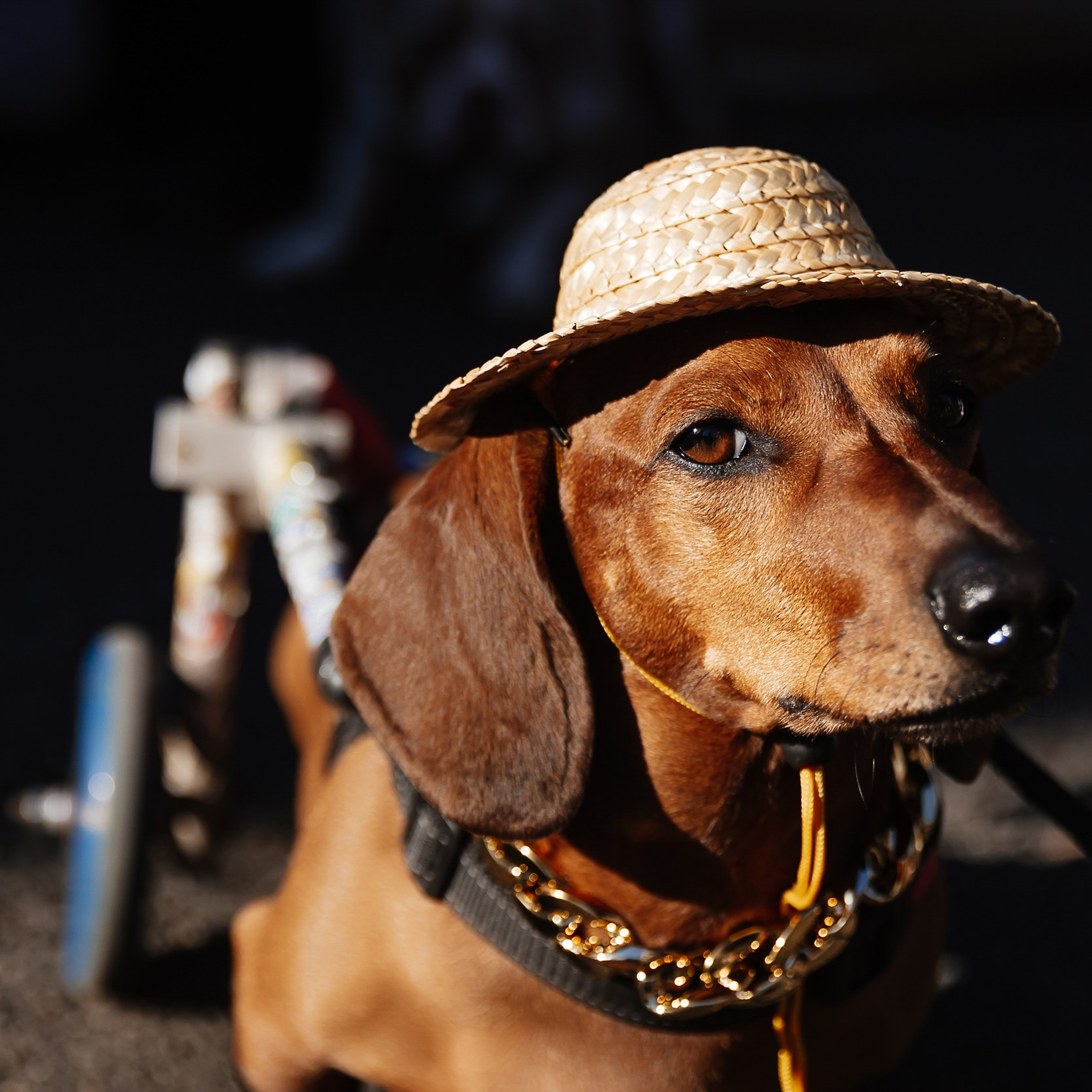 Boxpark 4.11.23. Photographer | Anna Christia