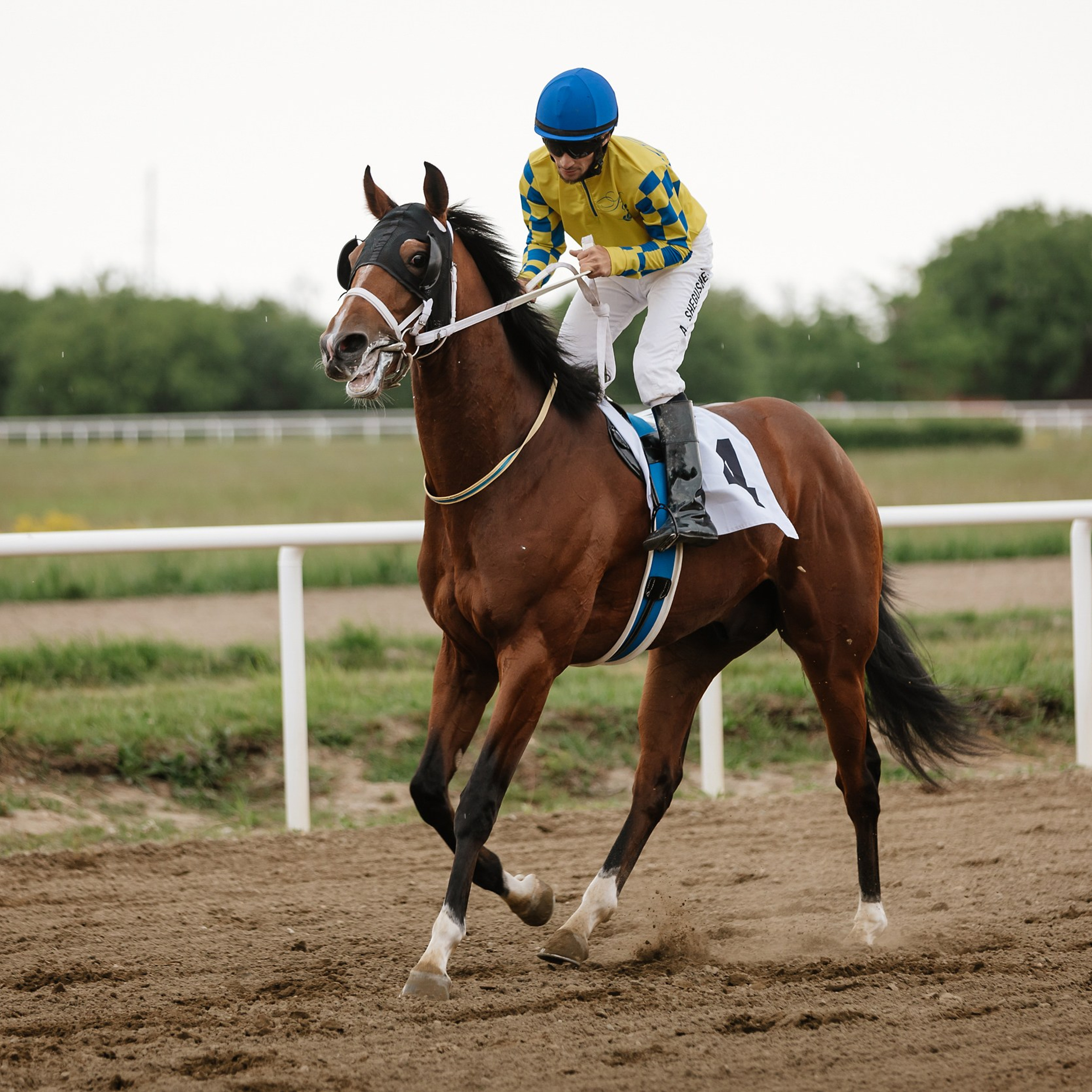 Скачки 11.05.24. Photographer | Anna Christia