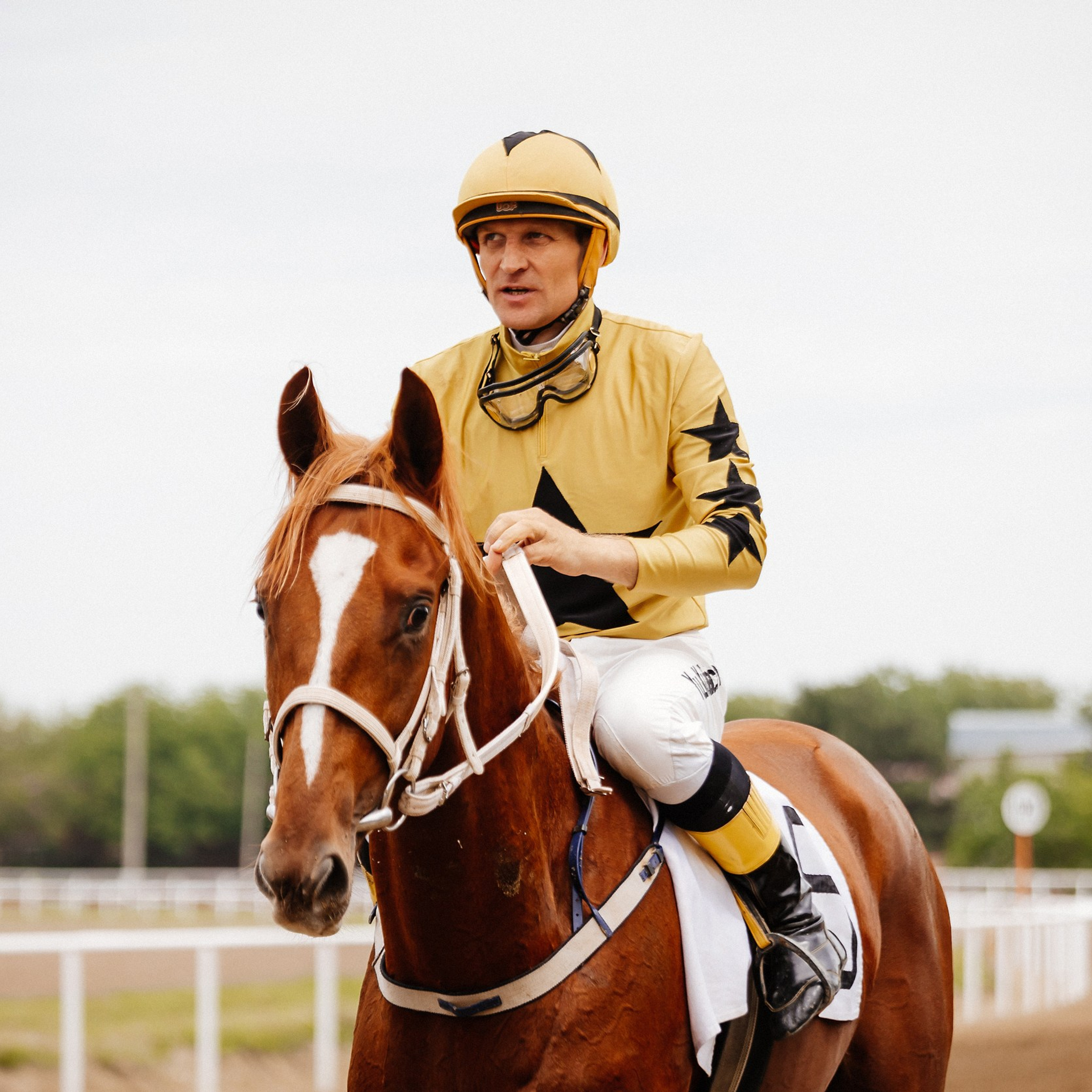 Скачки 10.06.23. Photographer | Anna Christia