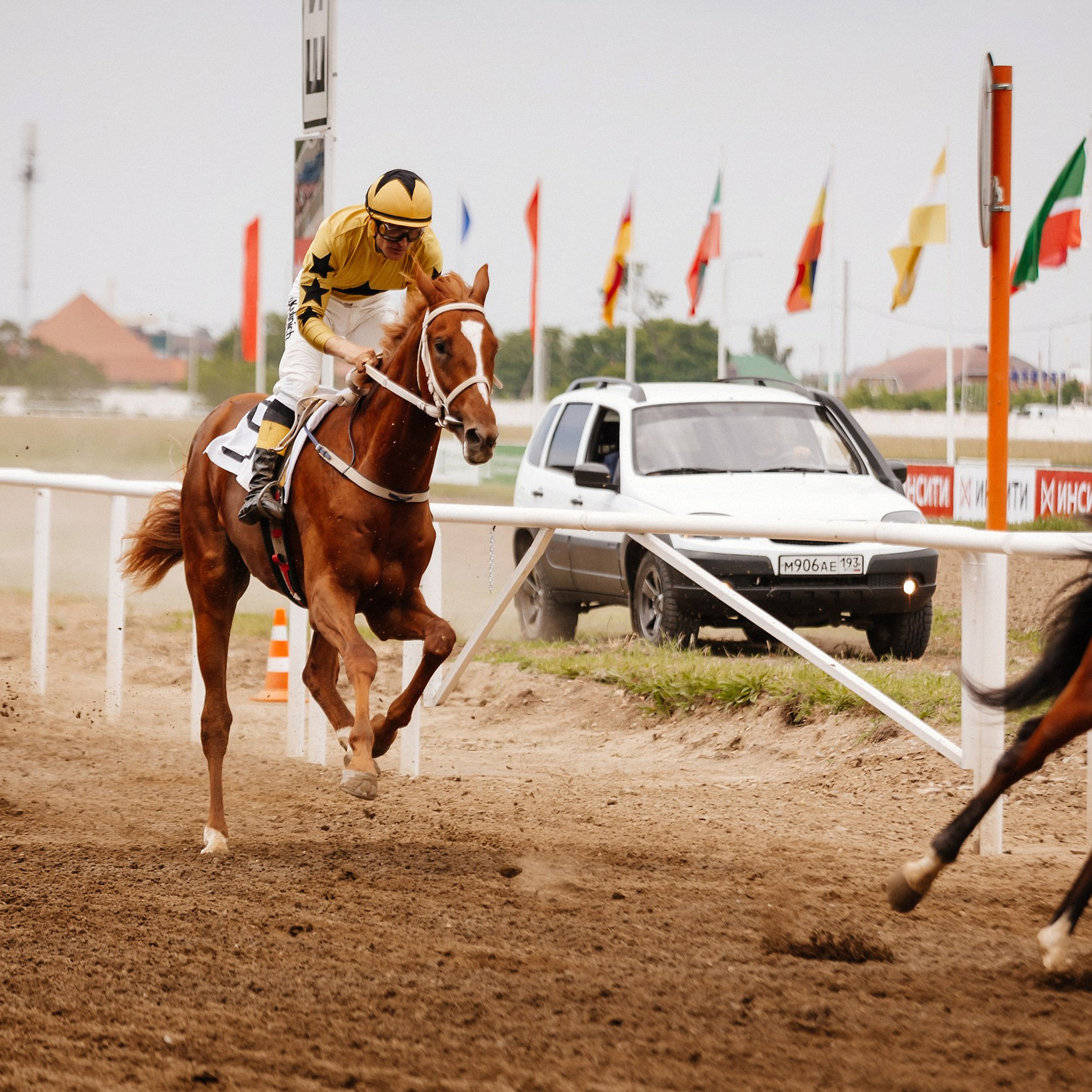 Скачки 10.06.23. Photographer | Anna Christia