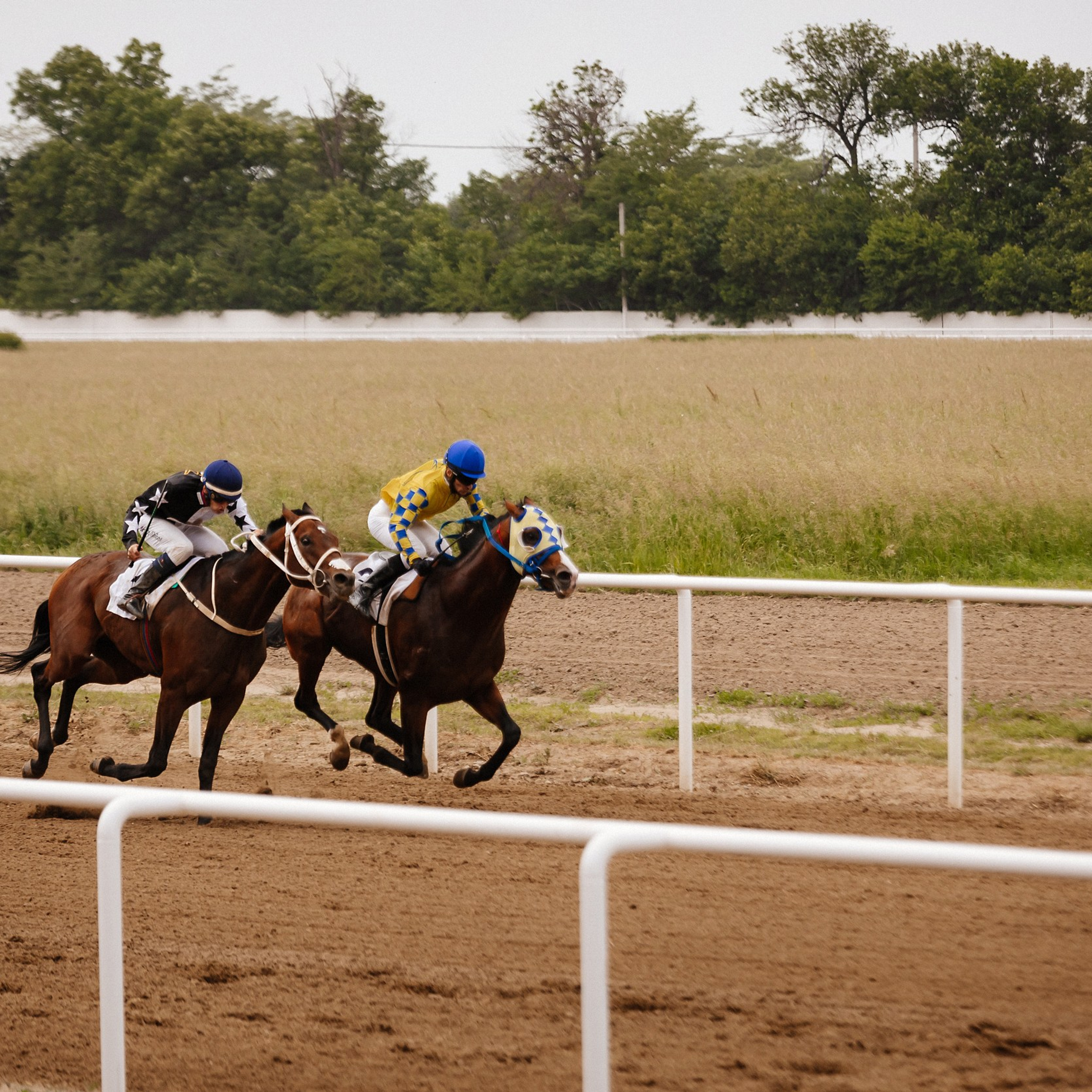Скачки 10.06.23. Photographer | Anna Christia