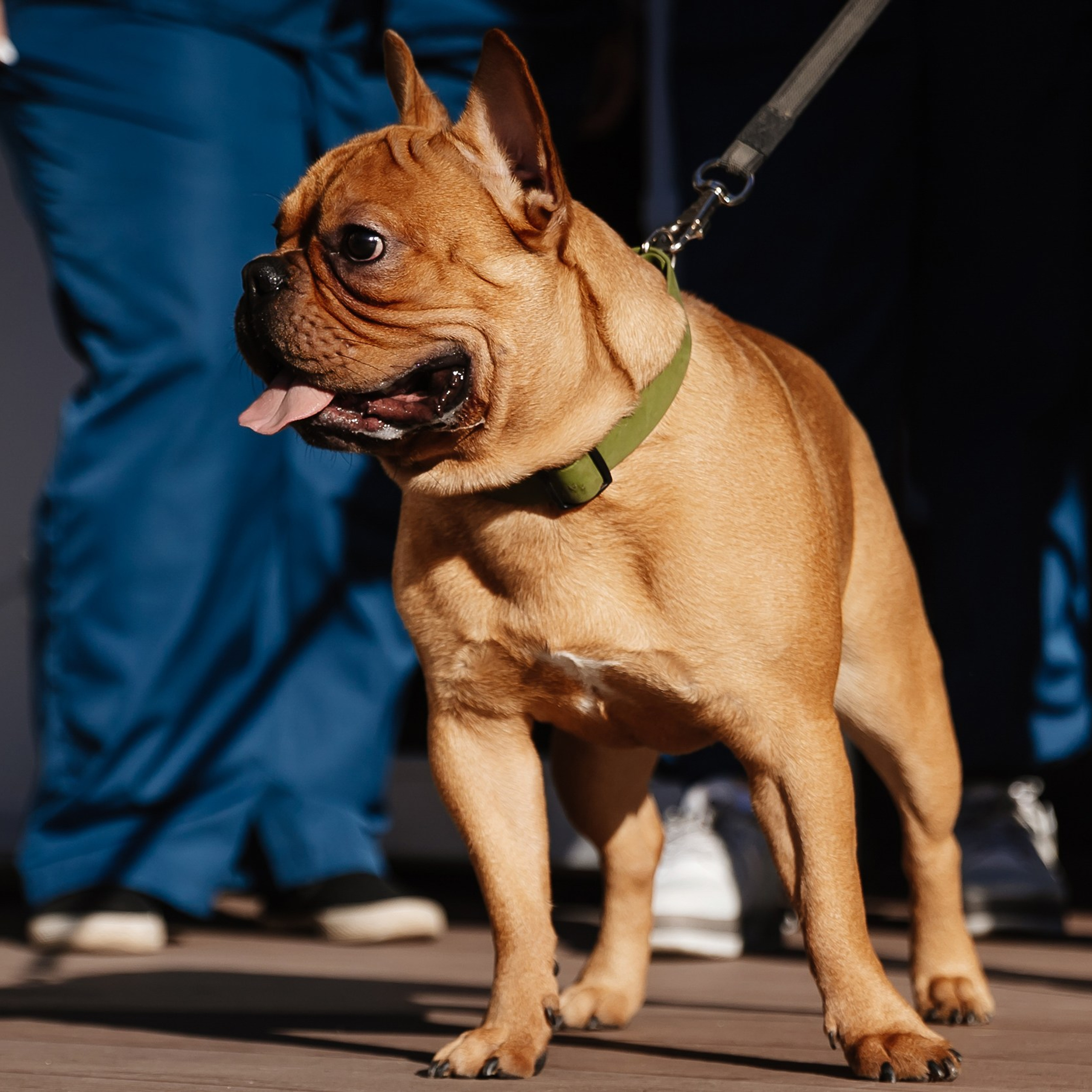Boxpark 4.11.23. Photographer | Anna Christia