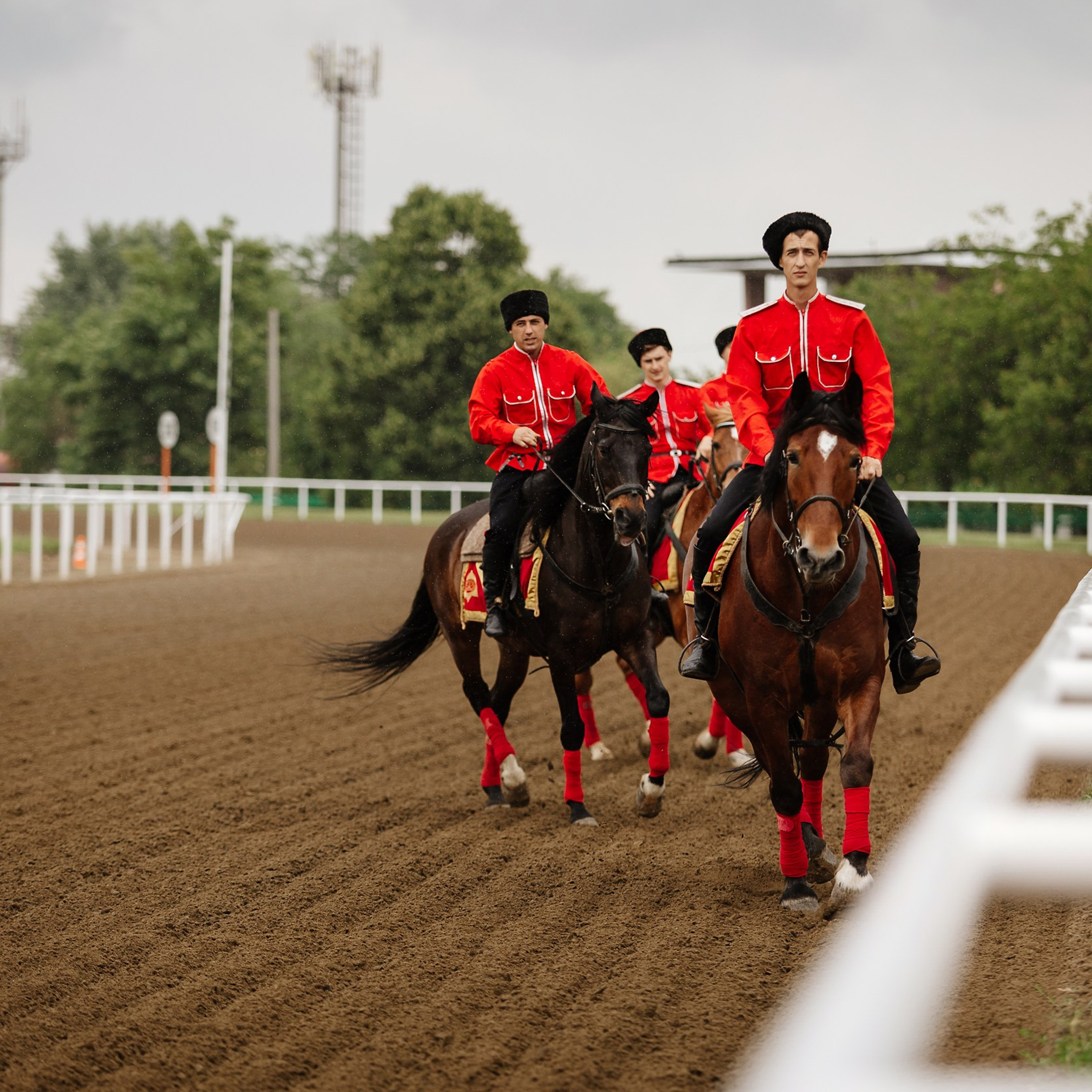 Скачки 17.06.23. Photographer | Anna Christia