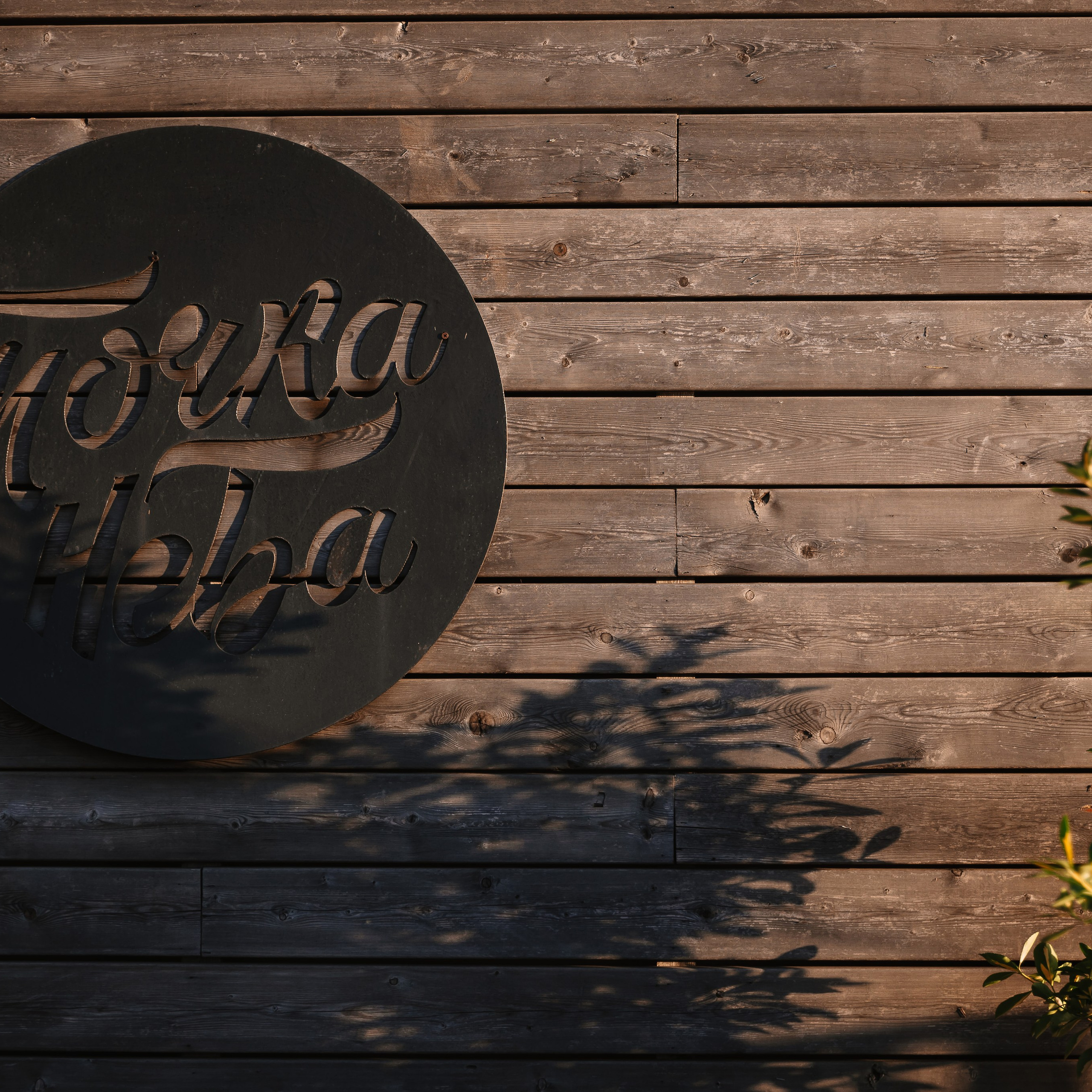 Сергей Лебедев 23.05.24. Photographer | Anna Christia