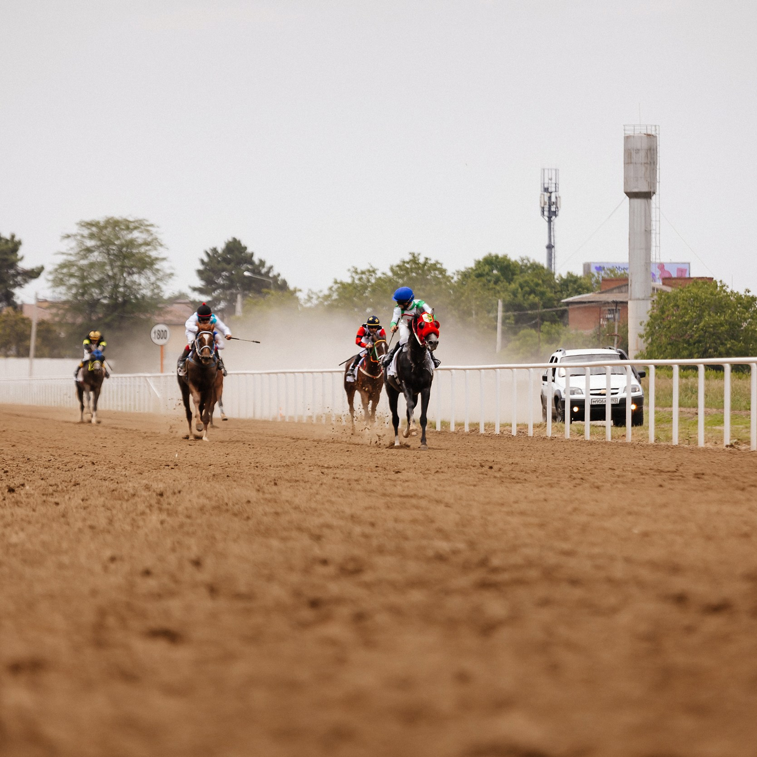 Скачки 10.06.23. Photographer | Anna Christia