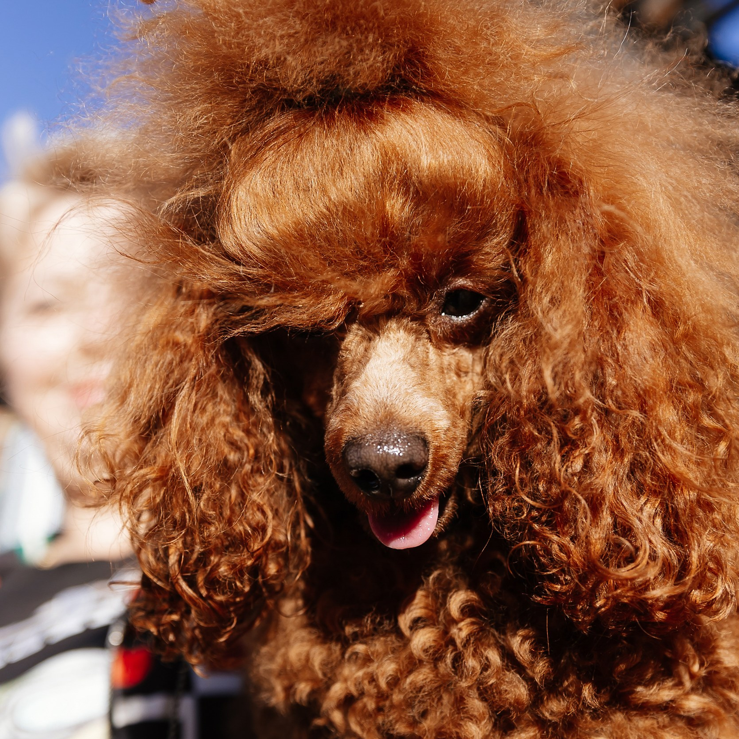 Boxpark 4.11.23. Photographer | Anna Christia