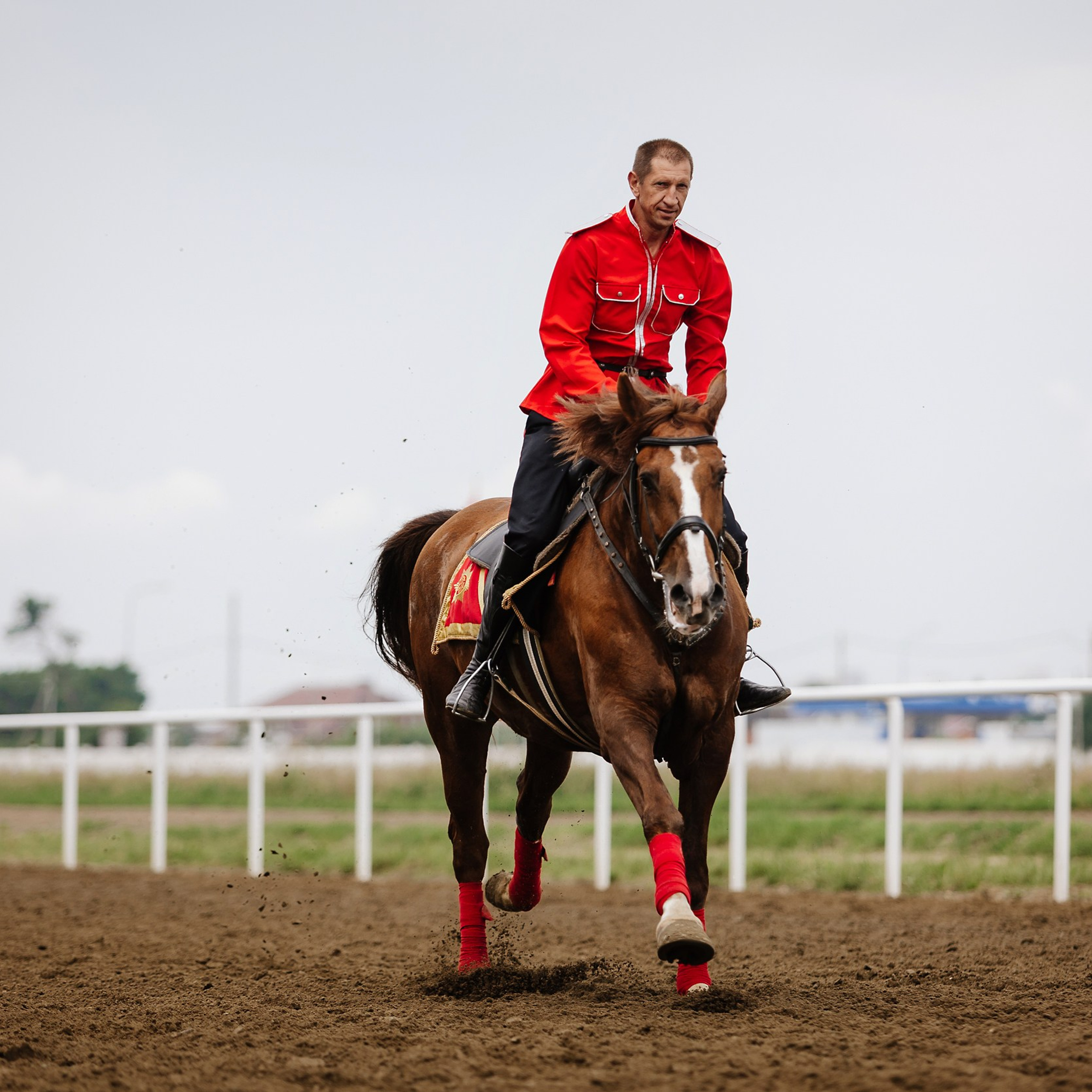 Скачки 17.06.23. Photographer | Anna Christia