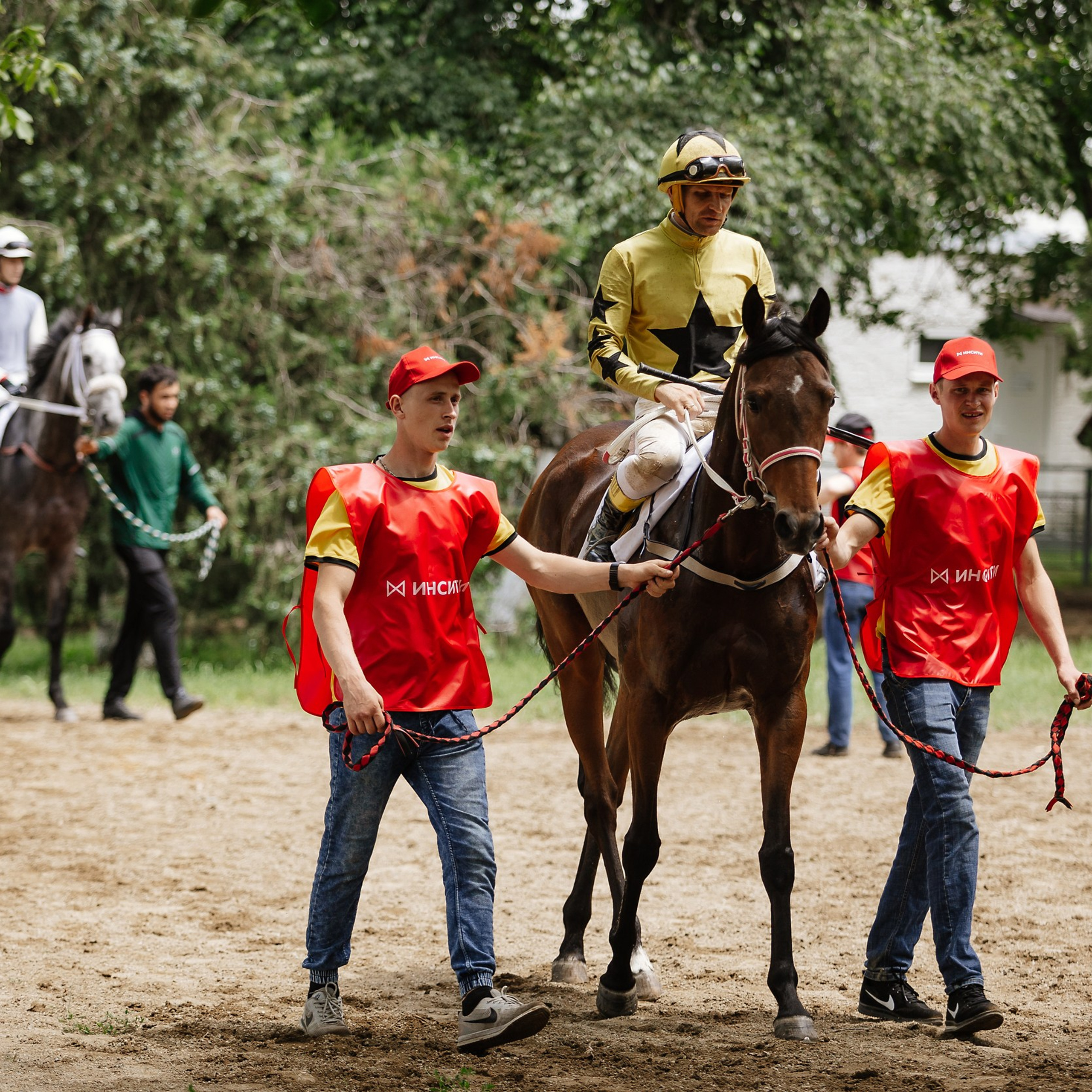 Скачки 17.06.23. Photographer | Anna Christia