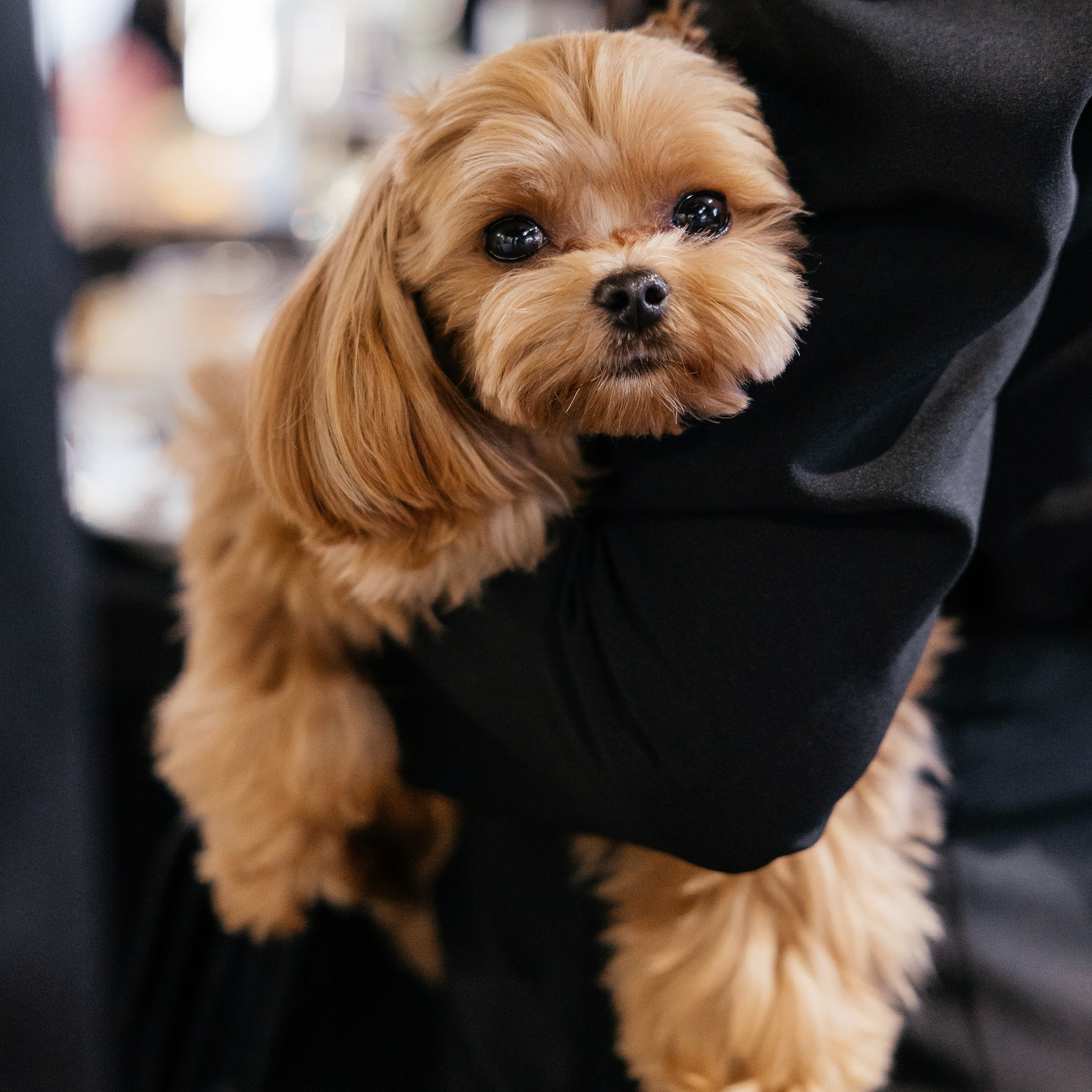 Manila Beauty 5 лет 13.04.25. Photographer | Anna Christia