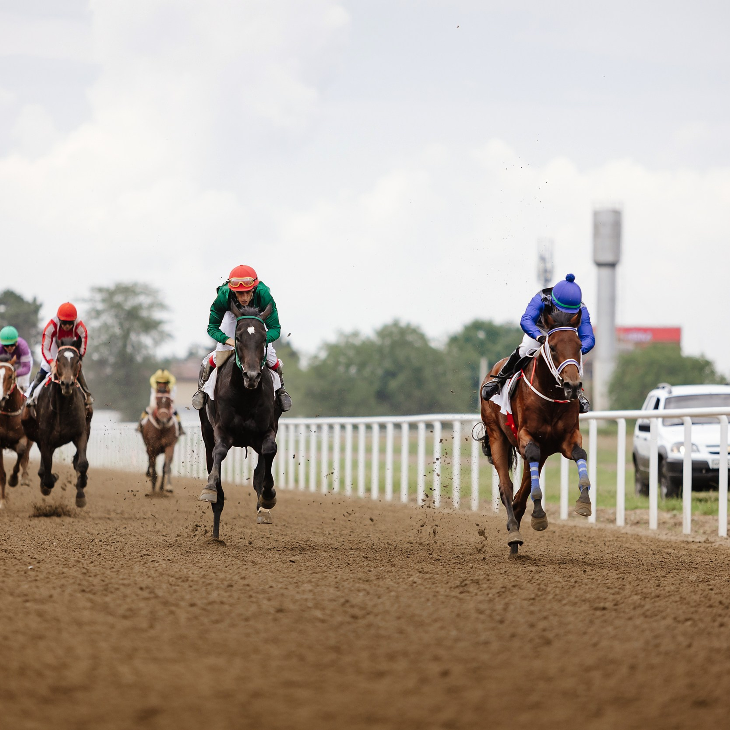 Скачки 17.06.23. Photographer | Anna Christia