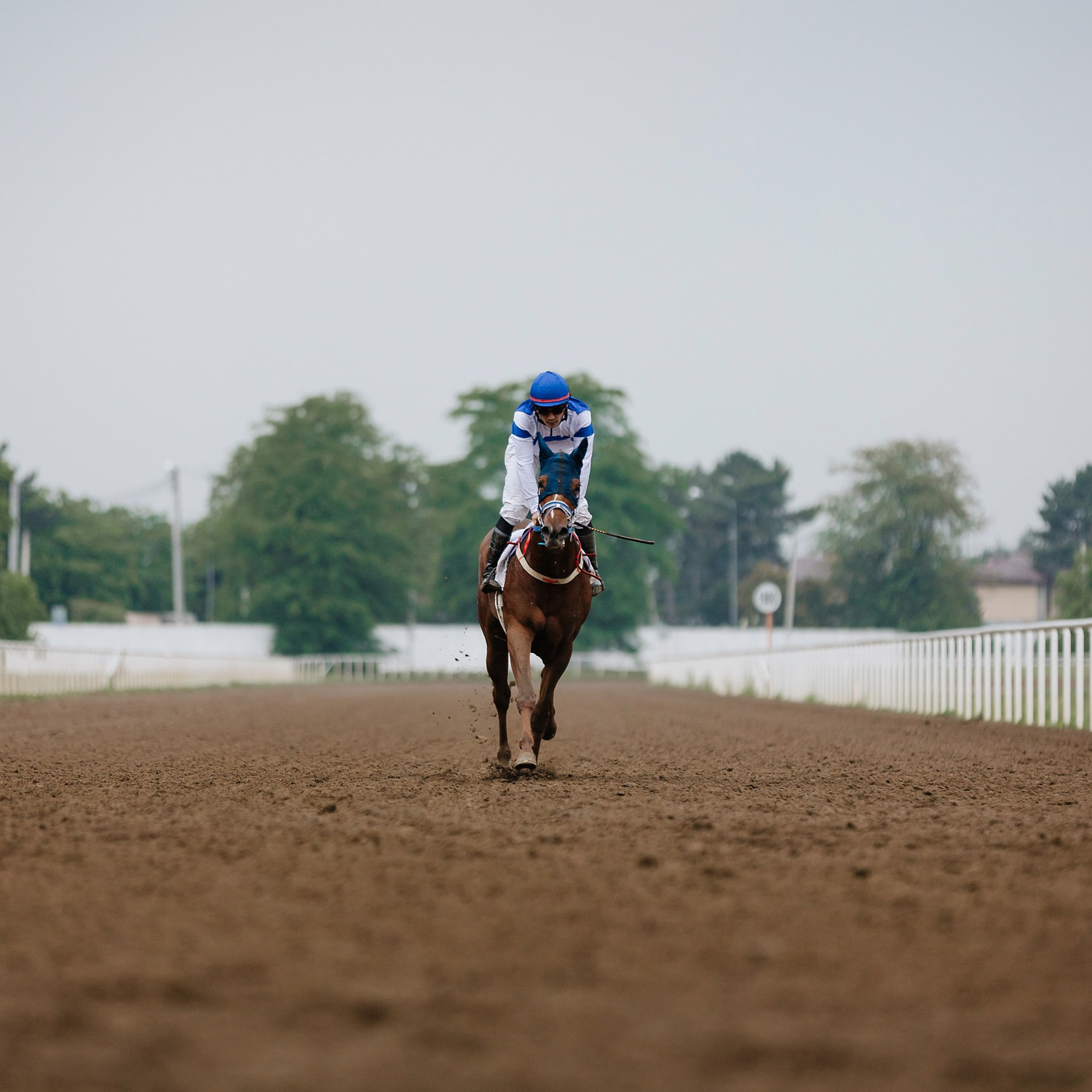 Скачки 11.05.24. Photographer | Anna Christia