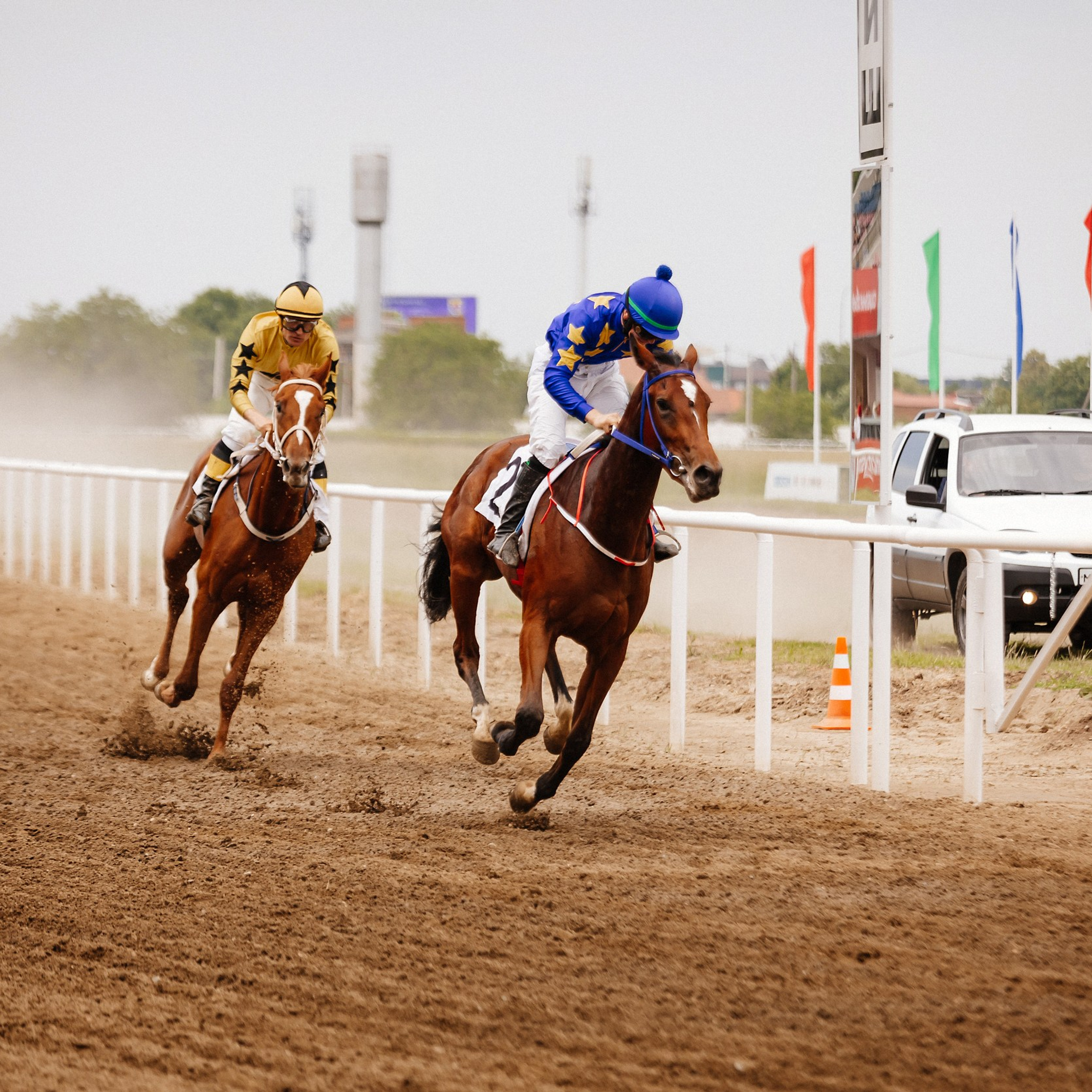 Скачки 10.06.23. Photographer | Anna Christia