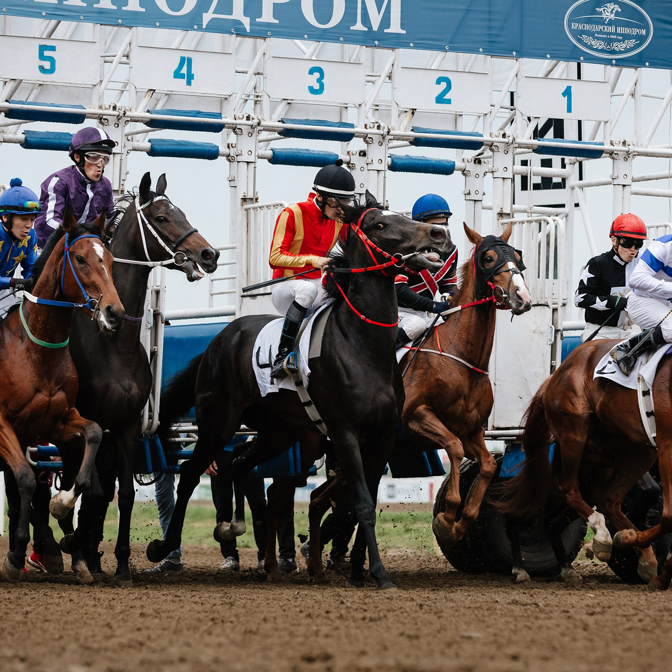 Скачки 11.05.24. Photographer | Anna Christia