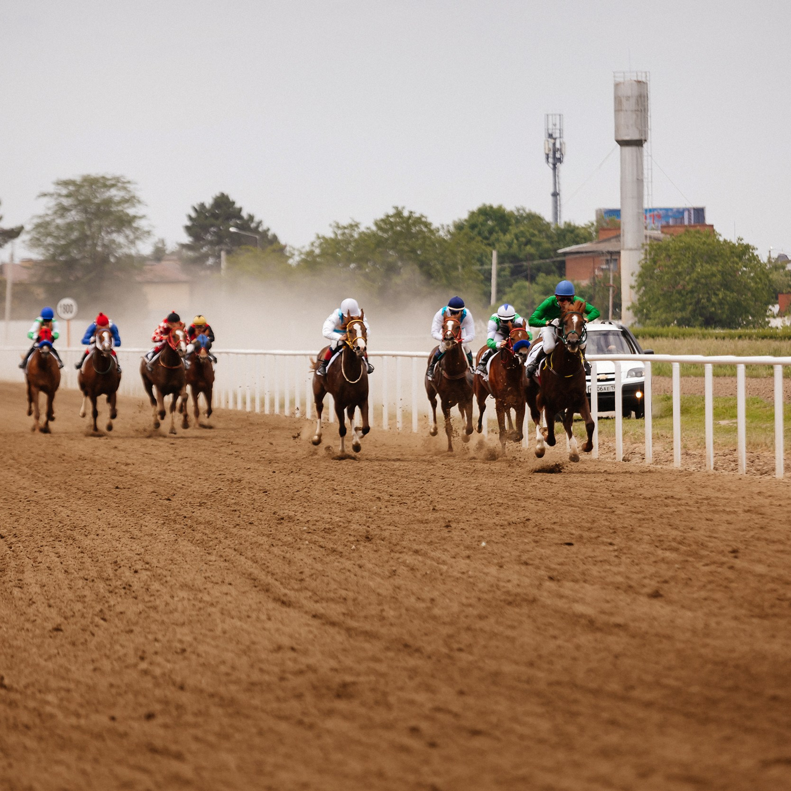 Скачки 10.06.23. Photographer | Anna Christia