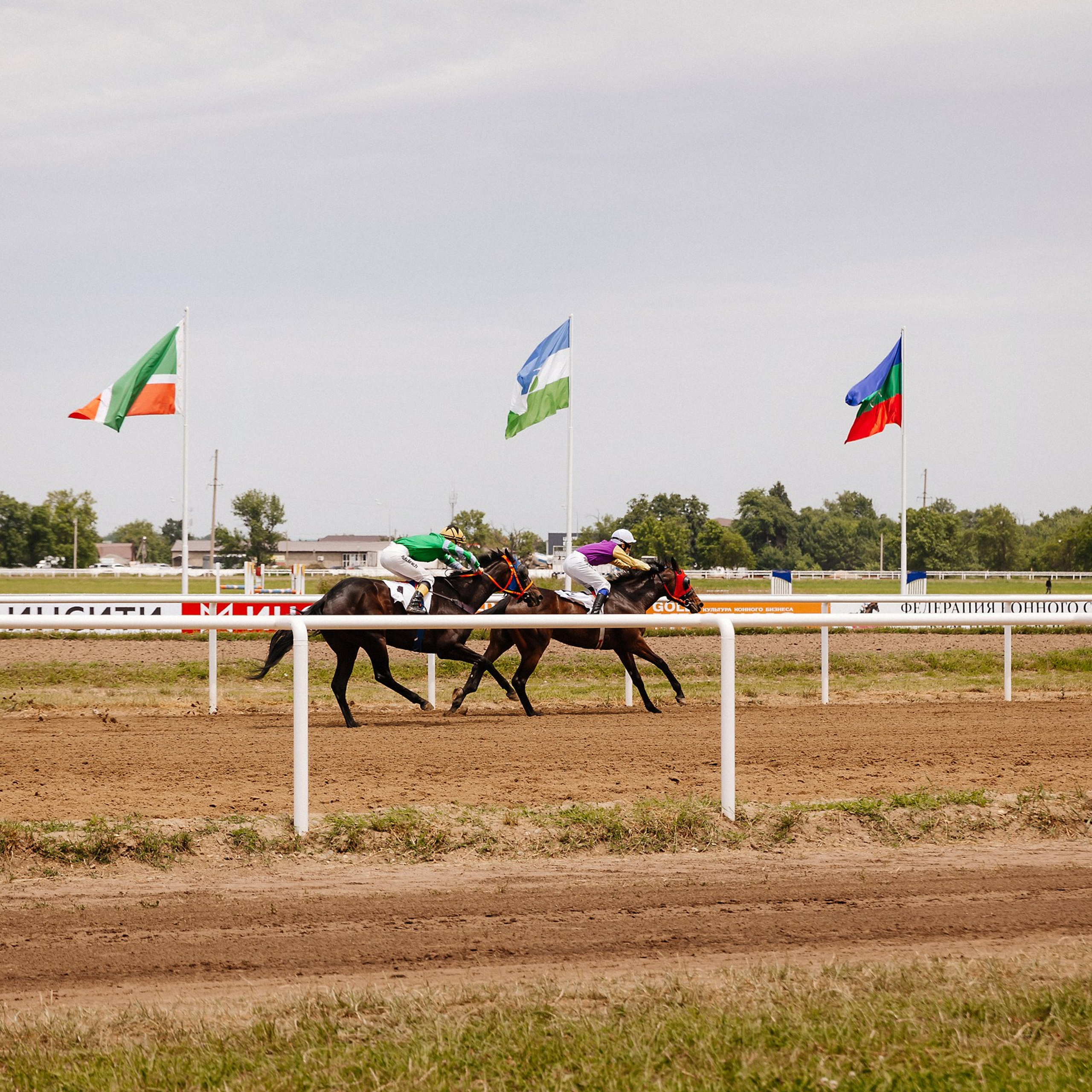 Скачки 10.06.23. Photographer | Anna Christia