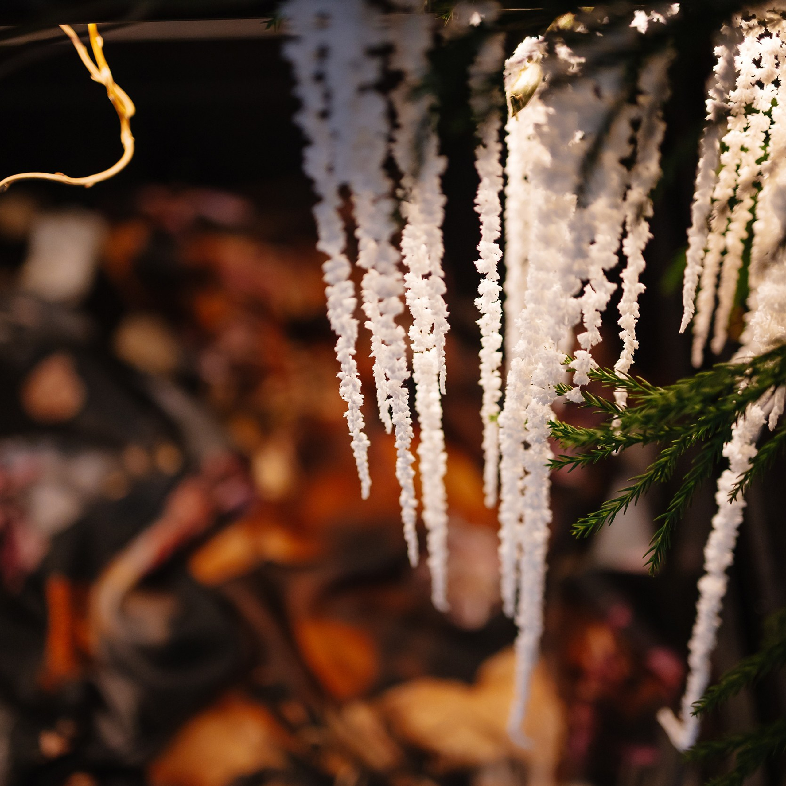 Not obligated 22.12.23. Photographer | Anna Christia