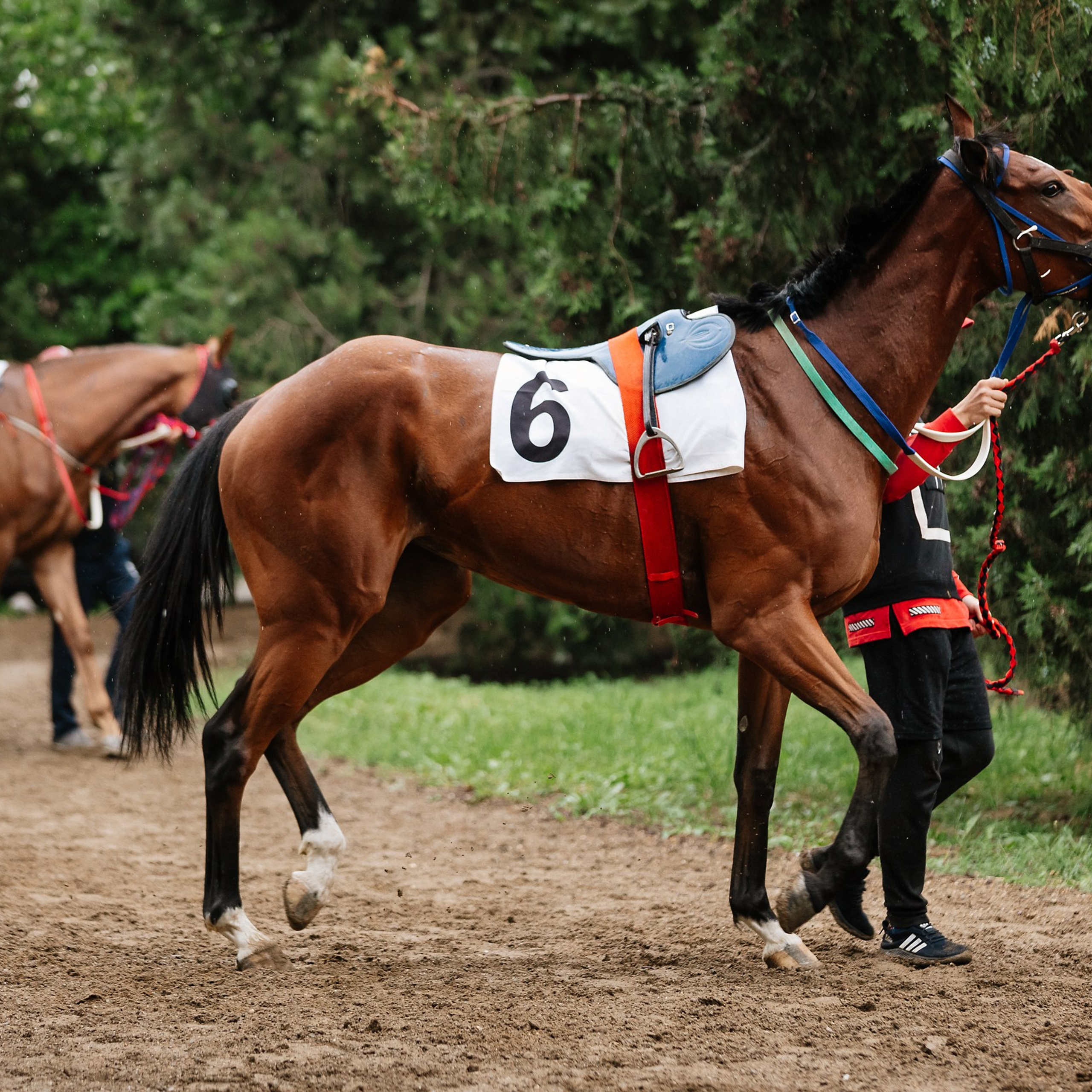 Скачки 11.05.24. Photographer | Anna Christia