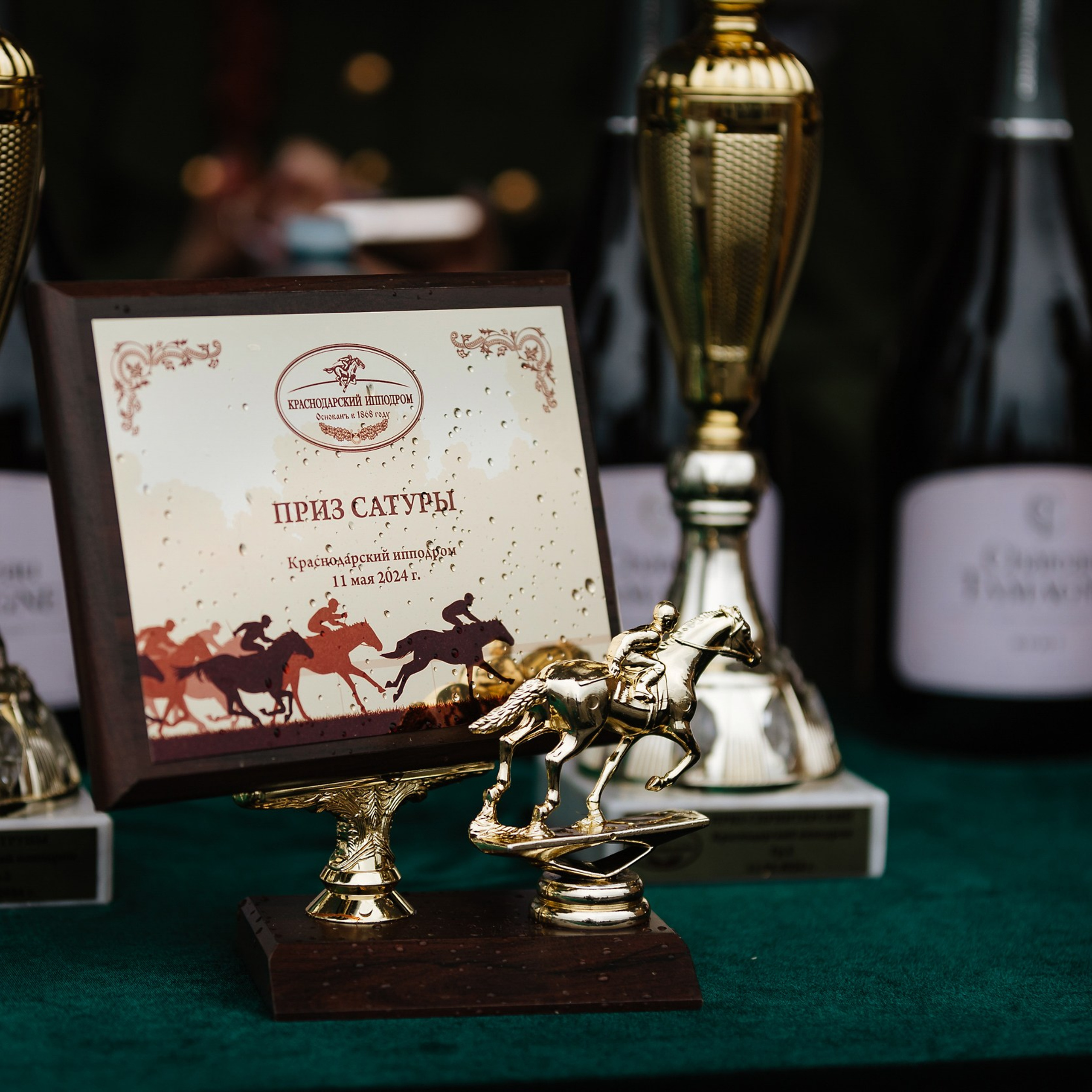 Скачки 11.05.24. Photographer | Anna Christia