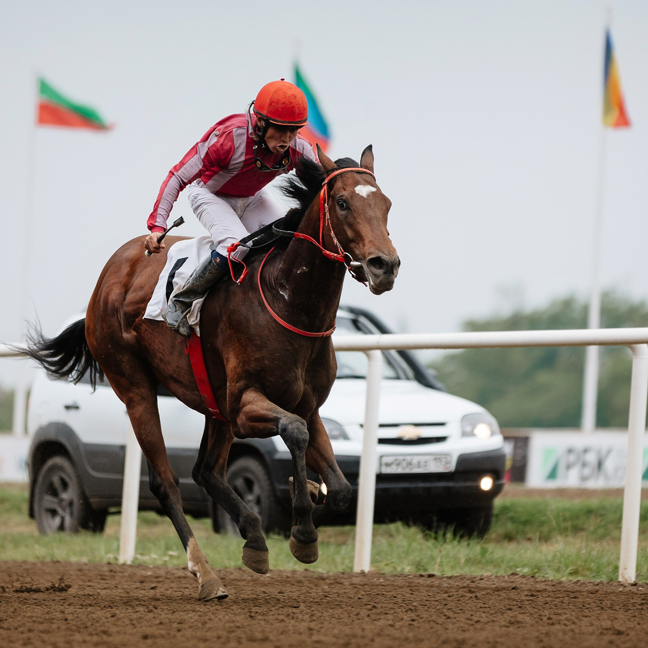 Скачки 11.05.24. Photographer | Anna Christia