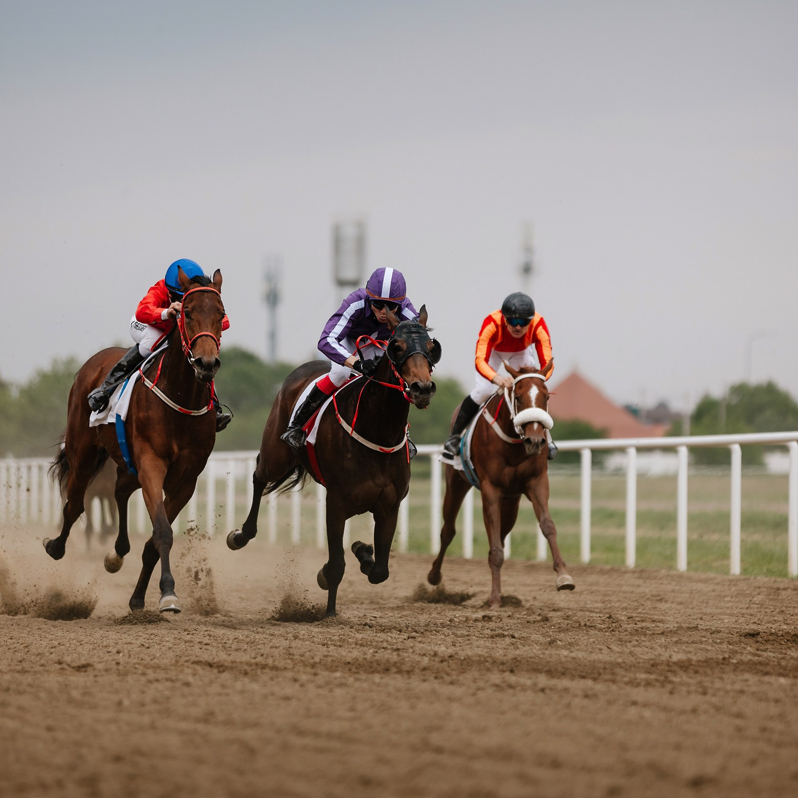 Скачки 11.05.24. Photographer | Anna Christia