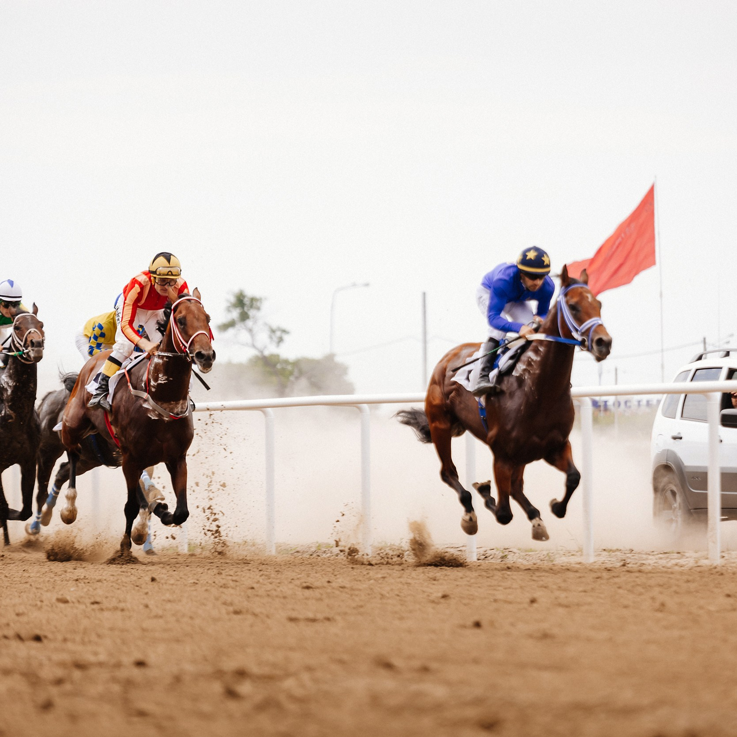 Скачки 10.06.23. Photographer | Anna Christia