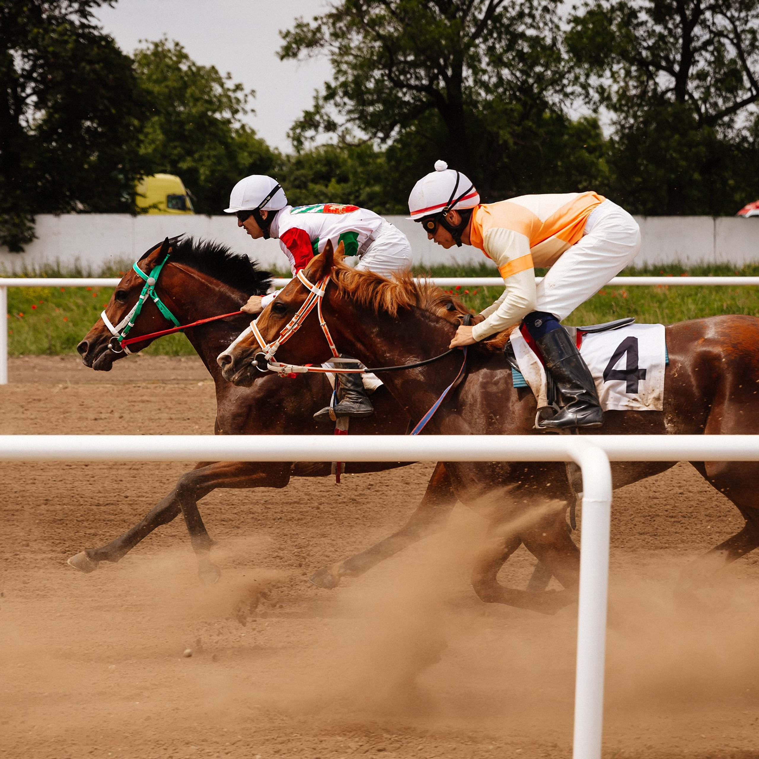 Скачки 10.06.23. Photographer | Anna Christia