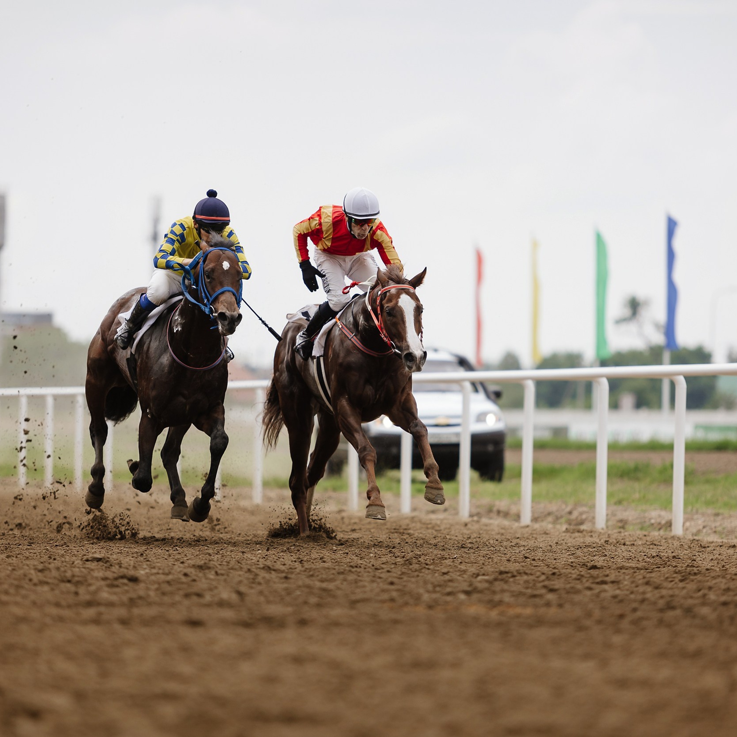 Скачки 17.06.23. Photographer | Anna Christia