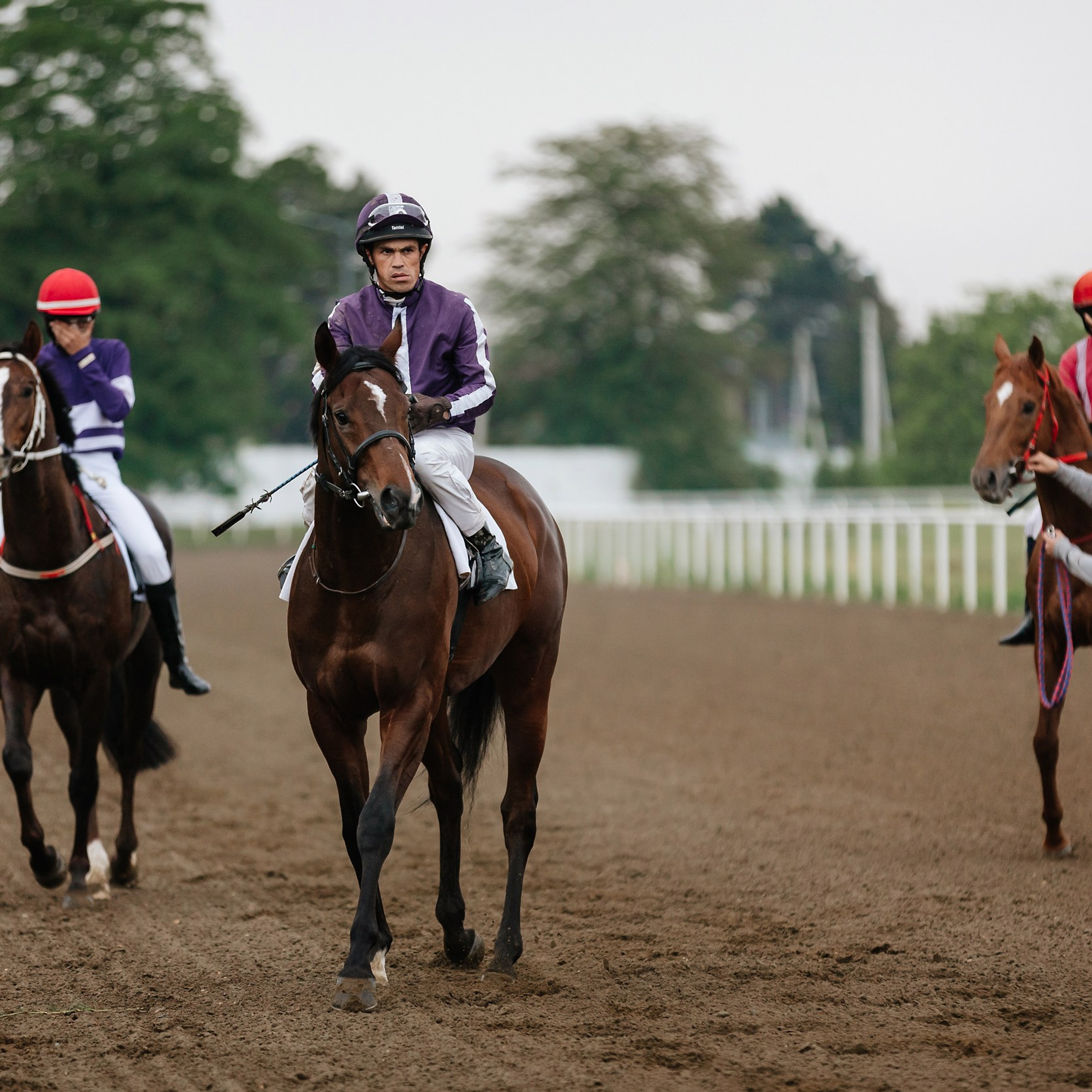 Скачки 11.05.24. Photographer | Anna Christia