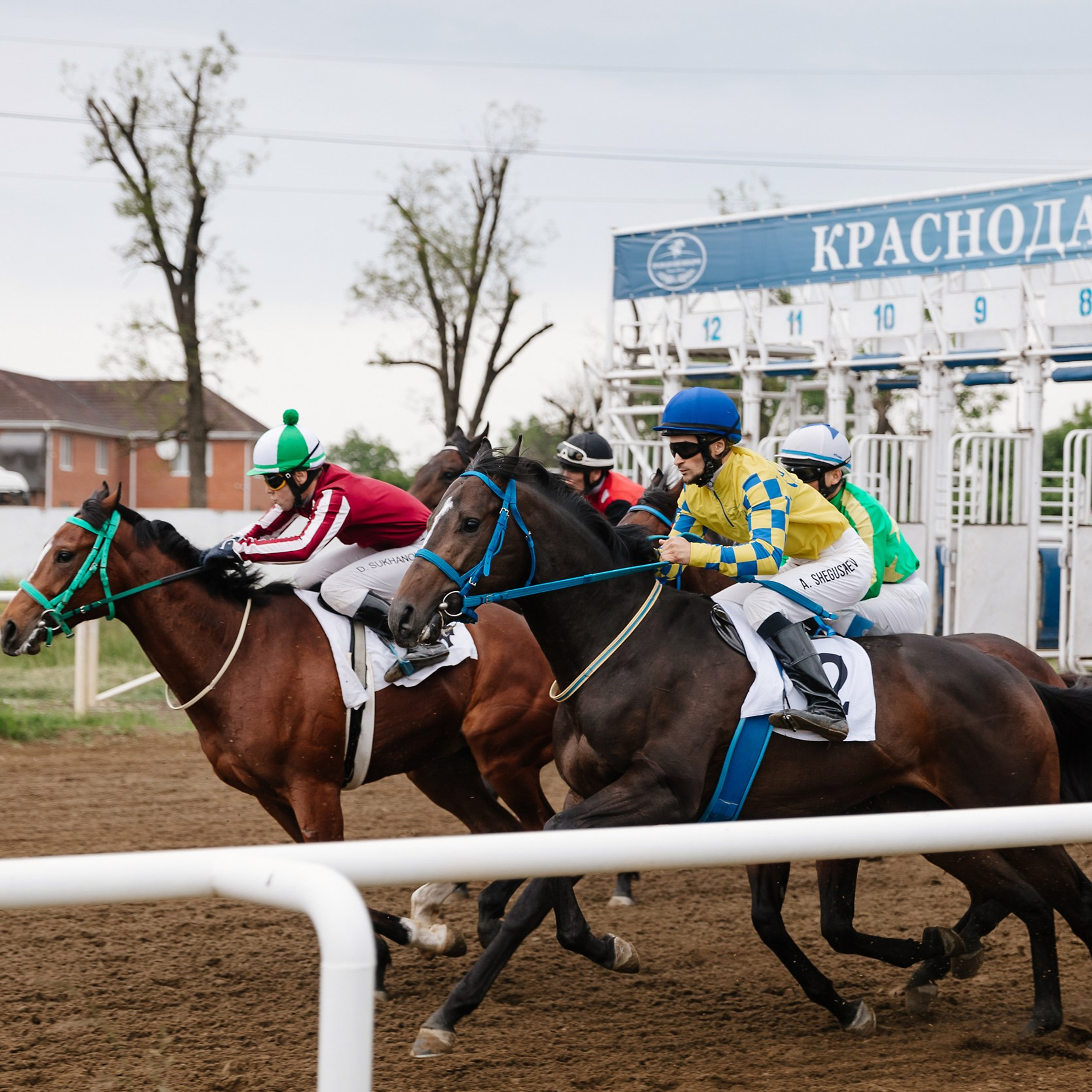 Скачки 11.05.24. Photographer | Anna Christia