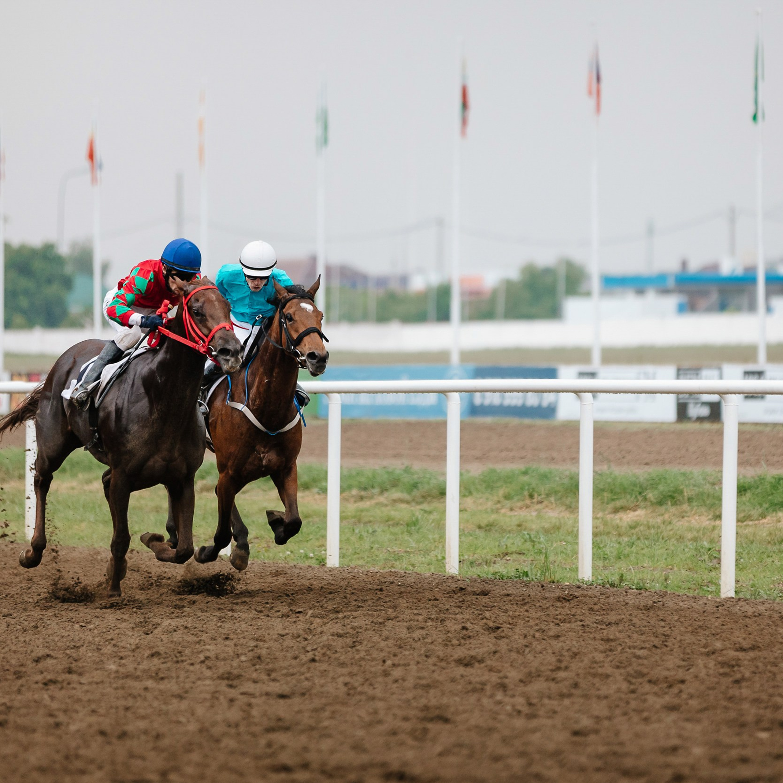 Скачки 11.05.24. Photographer | Anna Christia