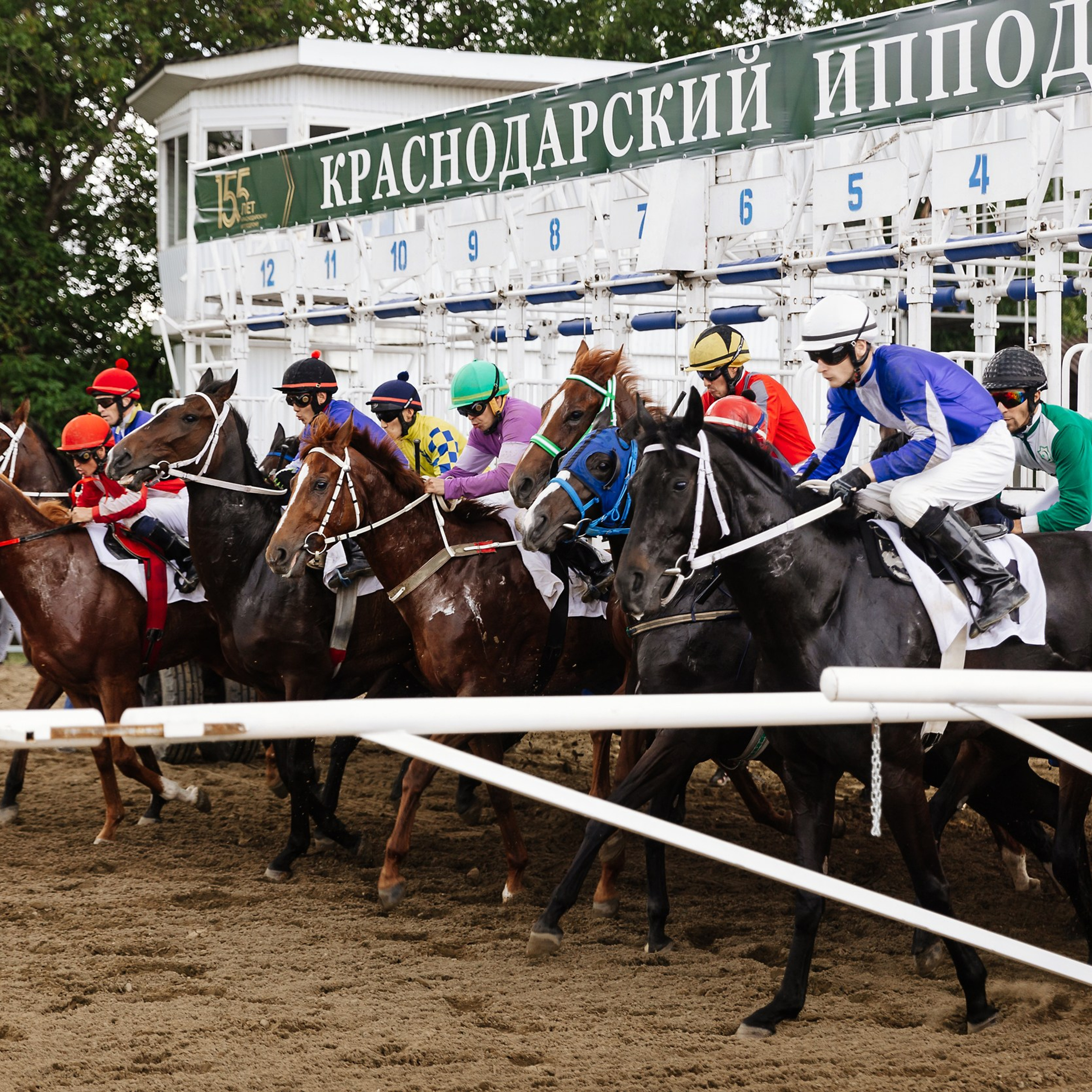 Скачки 17.06.23. Photographer | Anna Christia