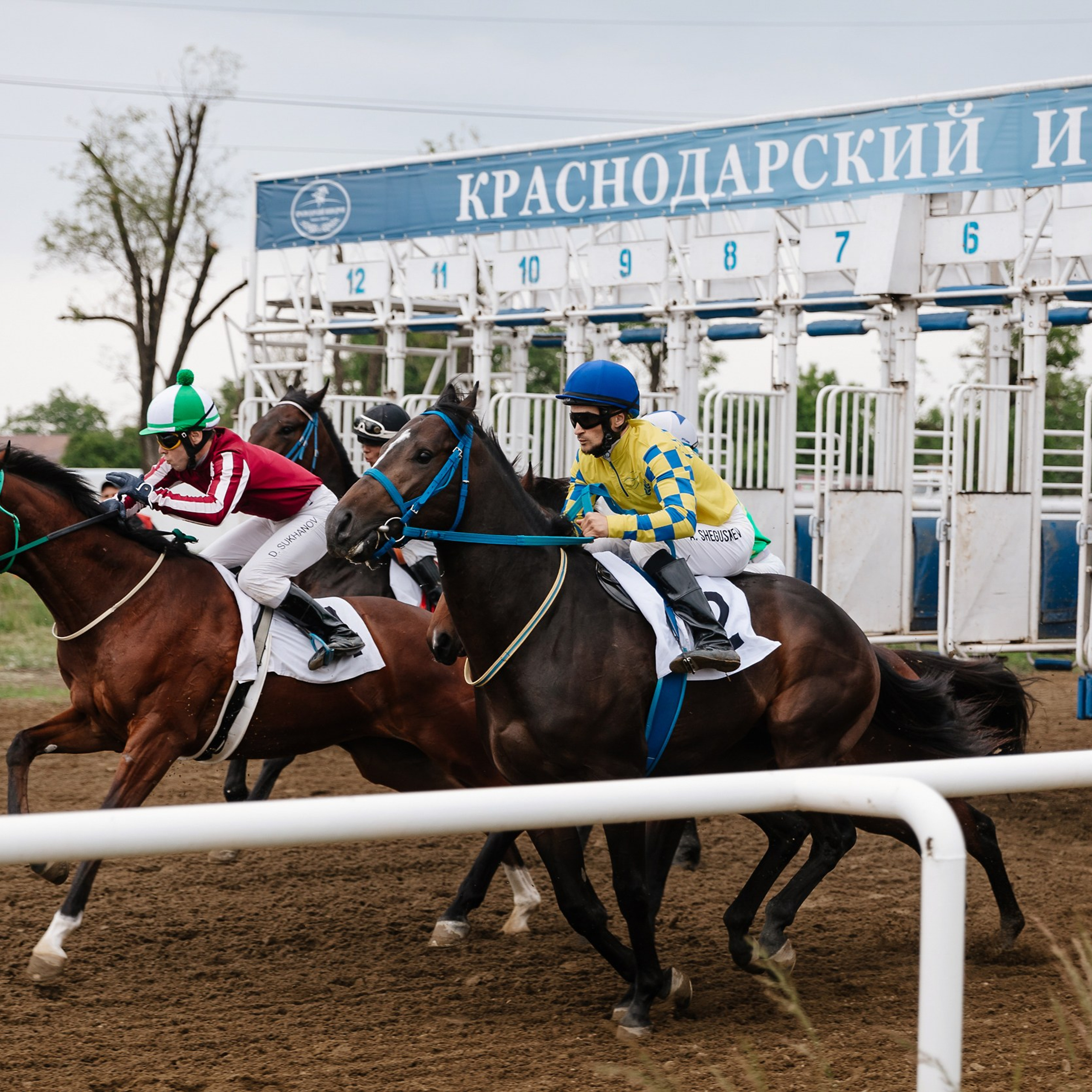 Скачки 11.05.24. Photographer | Anna Christia