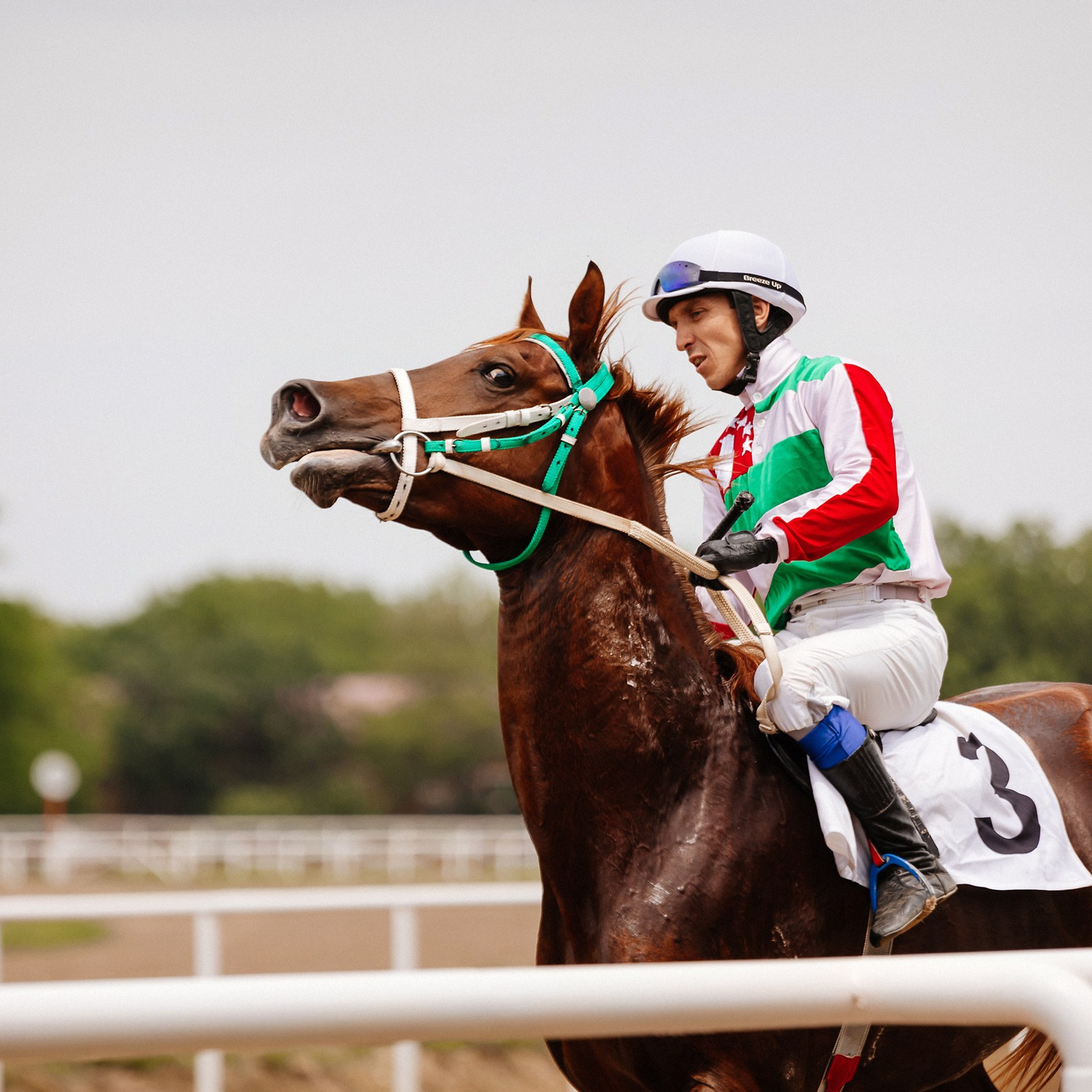 Скачки 10.06.23. Photographer | Anna Christia