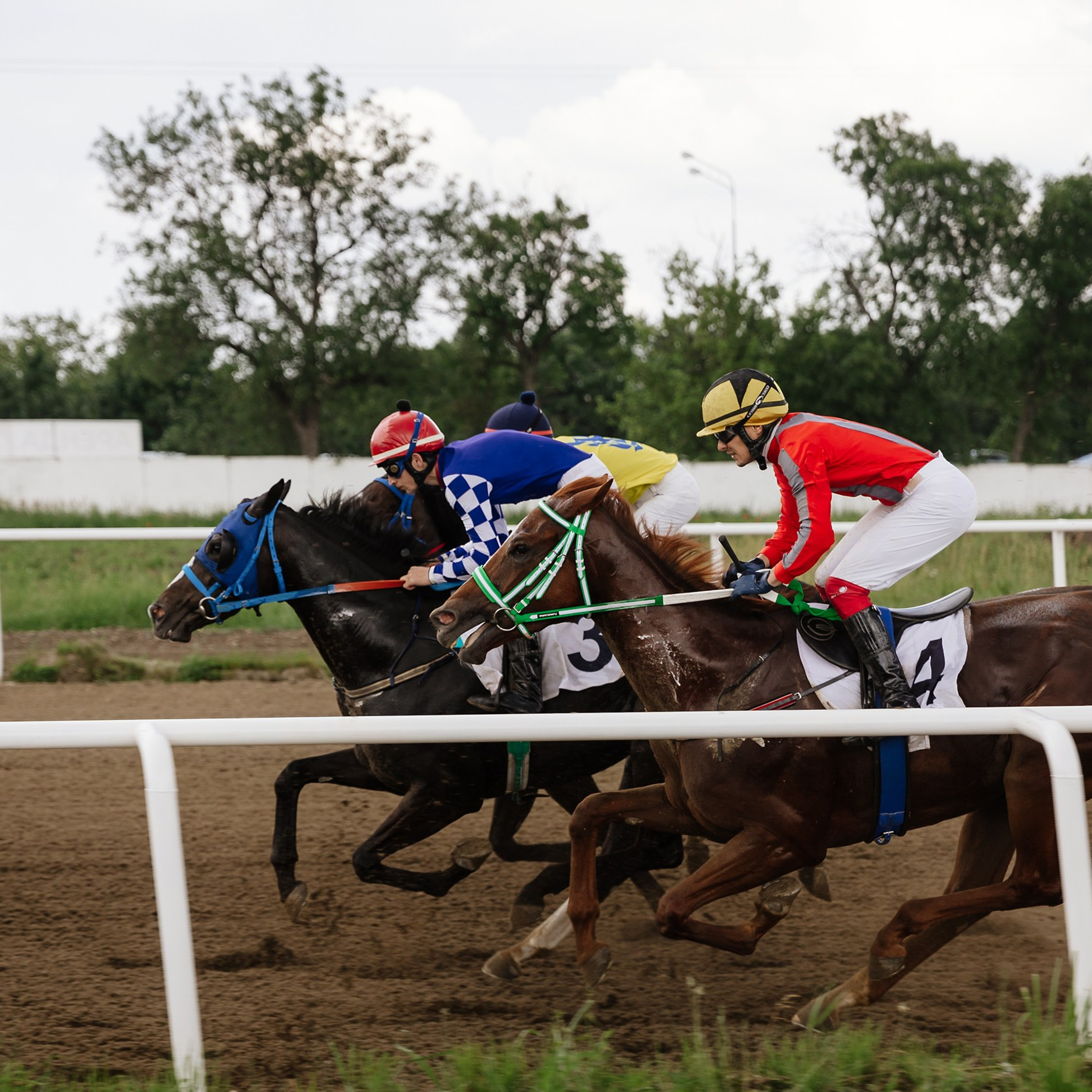 Скачки 17.06.23. Photographer | Anna Christia
